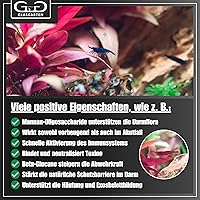 Vista 7 de GlasGarten Ajuste de camarones