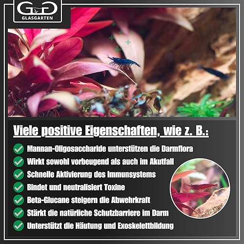 Miniatura 7 de GlasGarten Ajuste de camarones