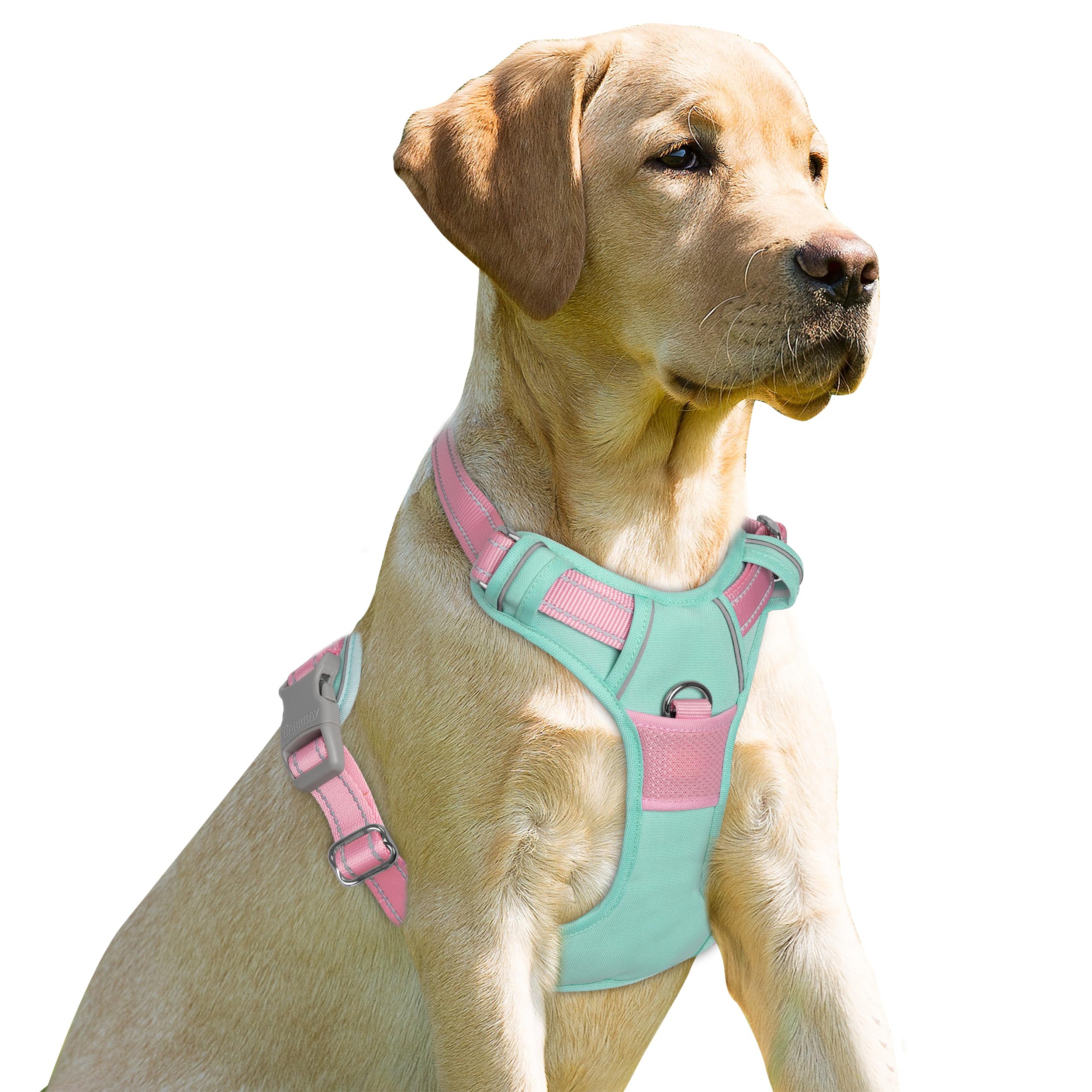 BARKBAY No Pull Dog Harness Front Clip Heavy Duty Reflective Easy Control Handle for Large Dog Walking(Cool Mint & Baby Pink,XS)