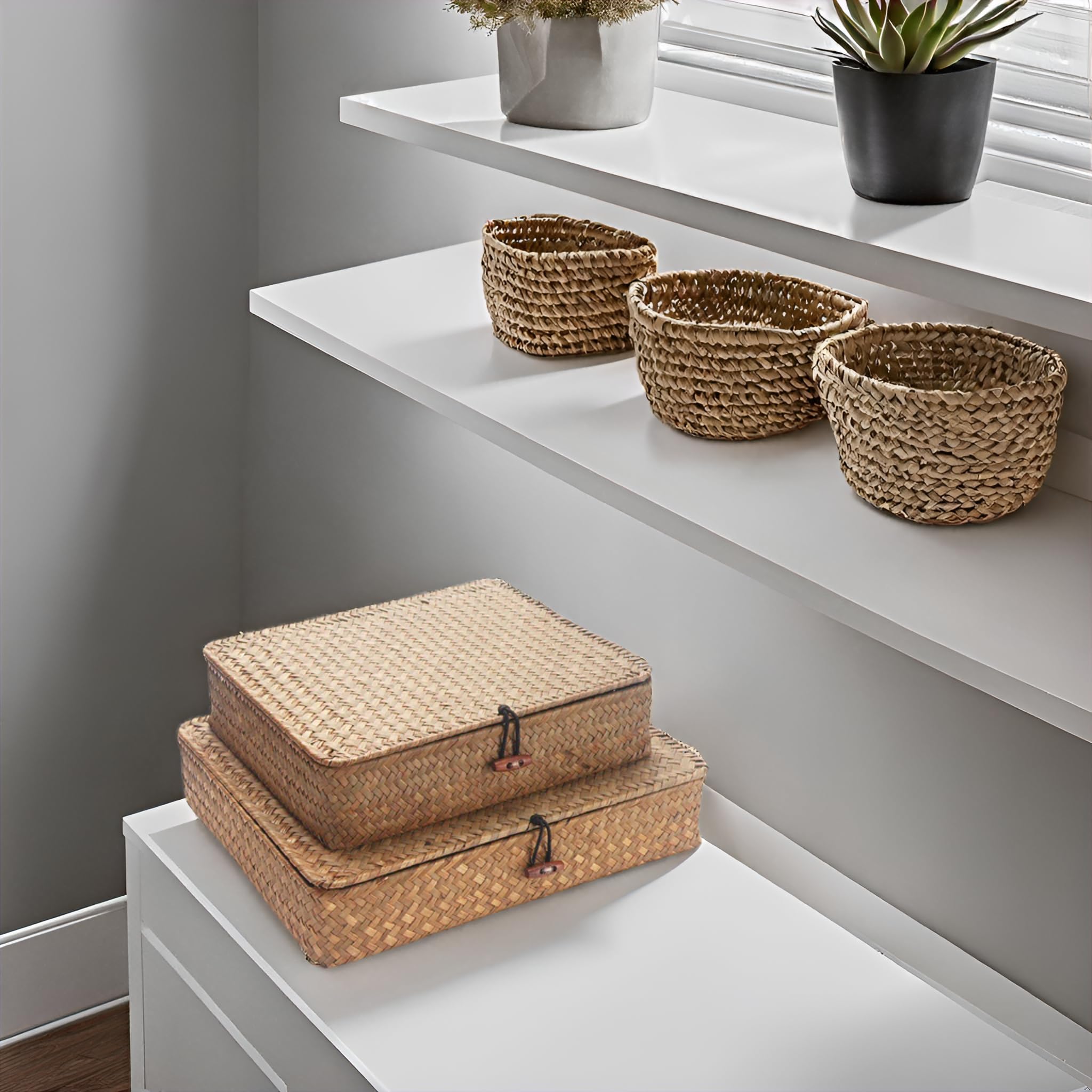 Cestini portaoggetti in alghe marine con coperchi, cesto piatto in vimini, cestino in tessuto poco profondo per scaffale, scatole decorative per organizzare (naturale)
