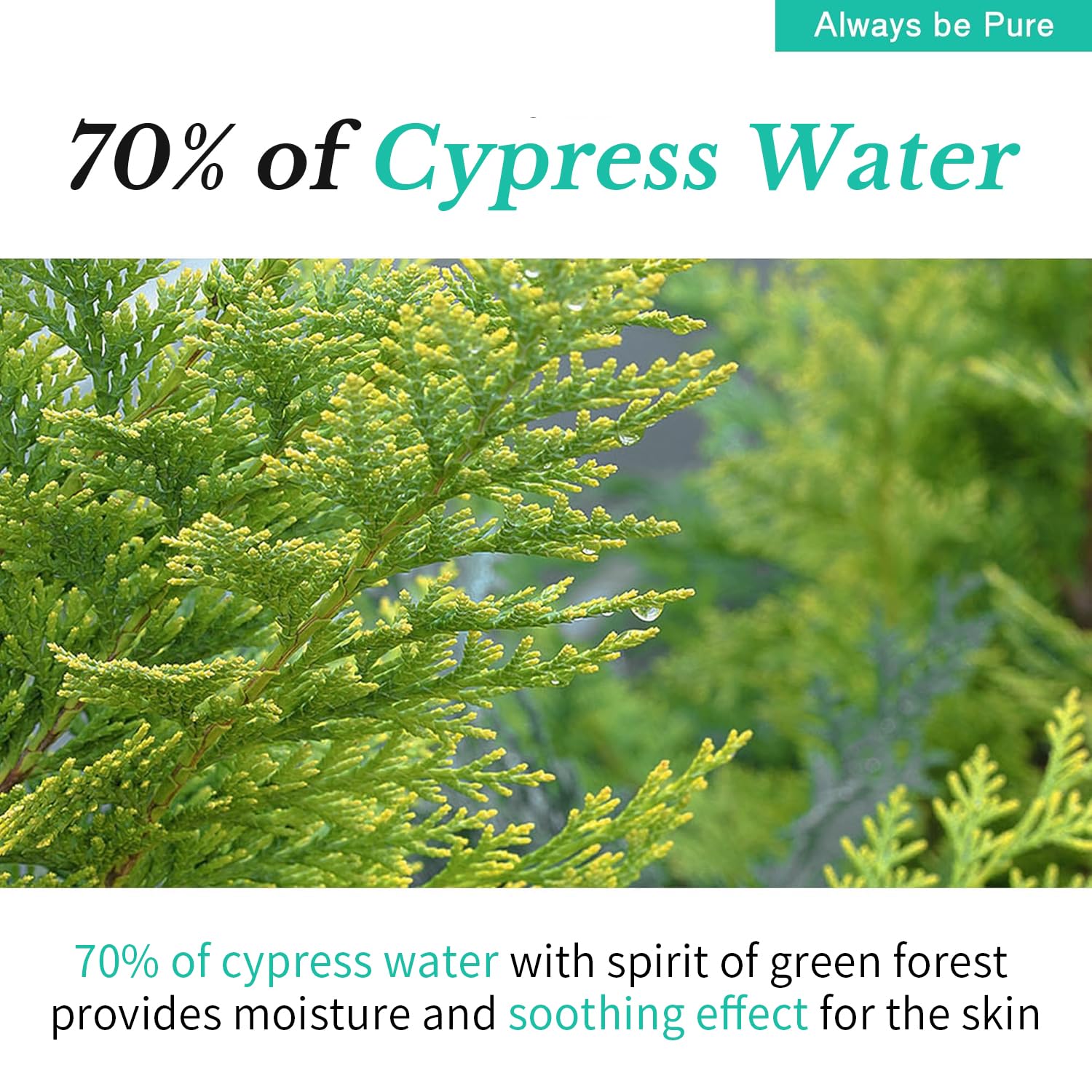 Hydrating Korean Serum with Centella Asiatica & Hyaluronic Acid Serum | Barrier Repair Ampoule for Sensitive & Acne-Prone Skin, Lightweight Facial Serum, 1.69oz(50ml) - Image 6