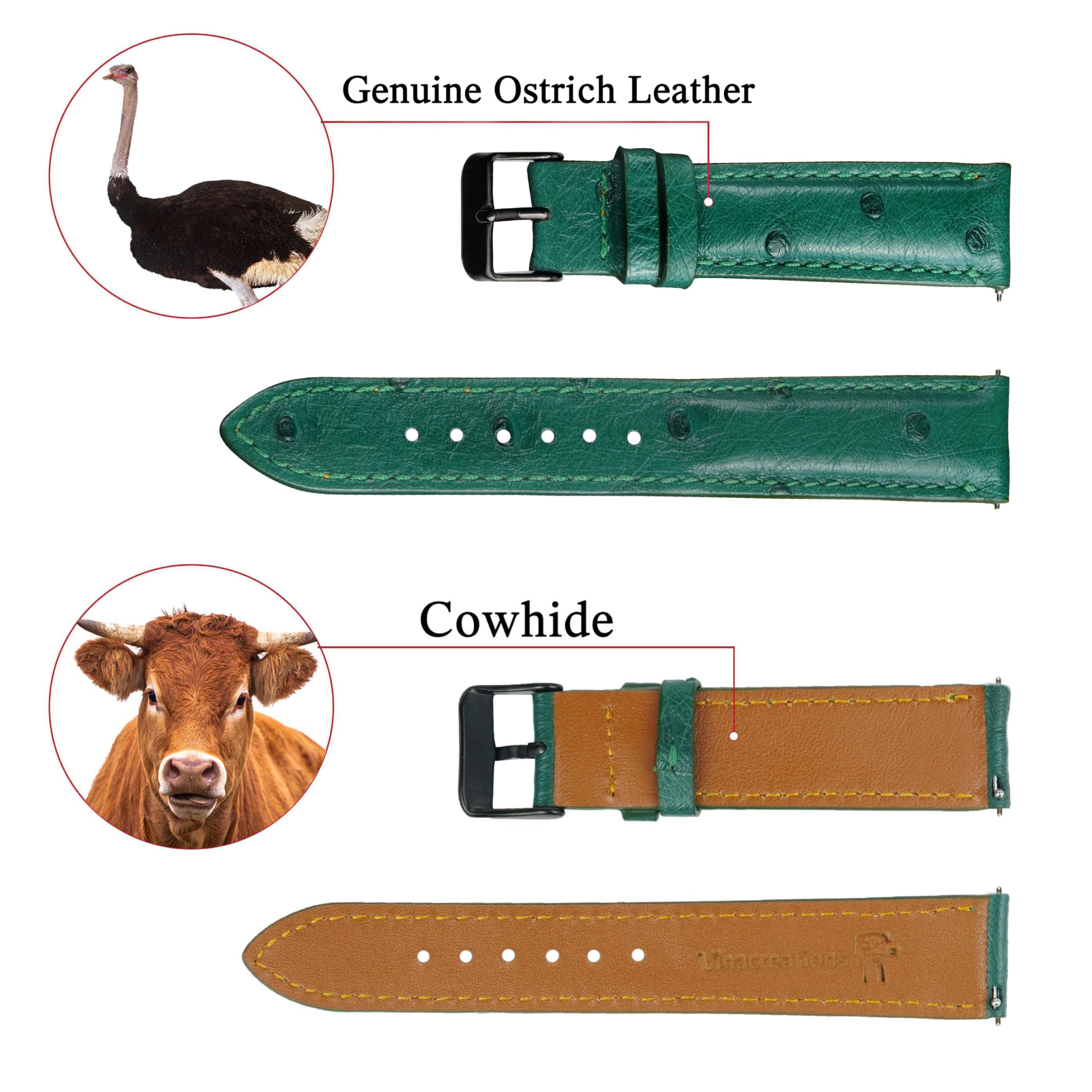 vinacreations 22mm Green Ostrich Leather Watch Band Men Quick Release Replacement Strap Extra Soft Handmade Wristband Stainless Steel Buckle, Father's Day Gift for Dad Son Husband DH-188B-22MM