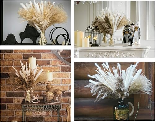 Miniatura 4 de 80 ramos de hierba de pampa natural, decoración bohemia para el hogar, decoración de flores de 17 pulgadas, flores secas, arreglos florales de