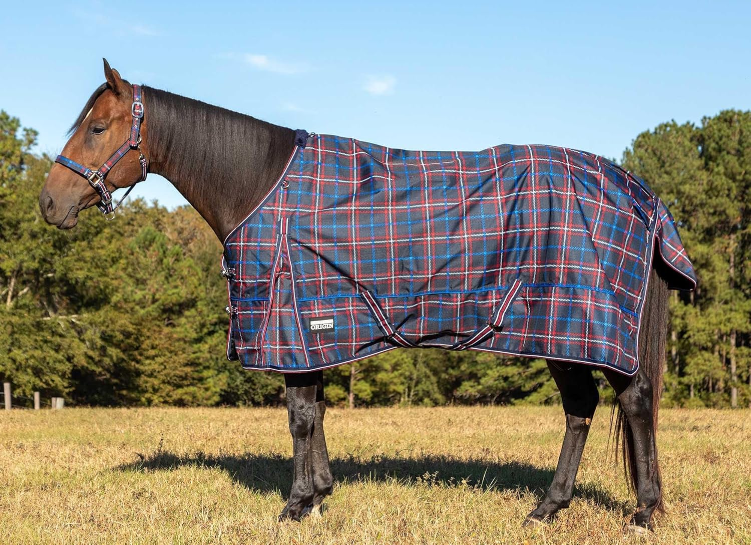 Jeffers Poplar Head 600 Denier Turnout Sheet for Horses, 0g Polyfill, 66"- Waterproof Lightweight Horse Blanket, Adjustable Chest Belly Straps, Tail Flap, Stable Blanket - Espresso and Wine Plaid