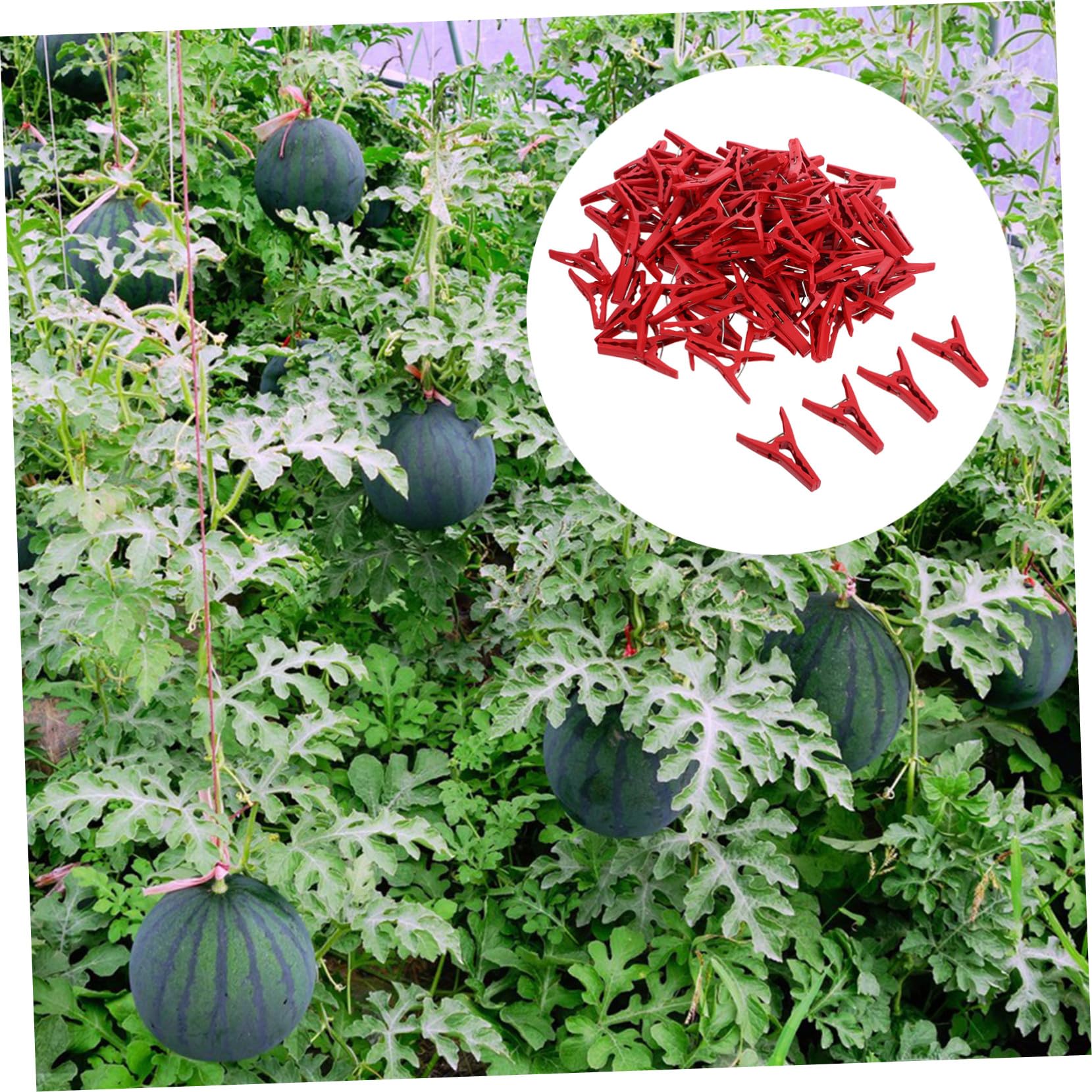 ifundom Clips de Fixation pour Plantes Grimpantes 100 Pcs Plastique Rouge
