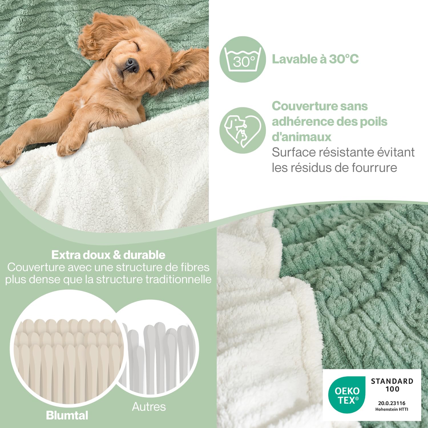 Blumtal Couverture Chaude 220x240 cm avec Motif torsadé - Couverture Polaire certifiée Oeko-TEX + intérieur Sherpa Doux - couvertures et Plaids - Plaid Doux - couvertures, Plaids et boutis Vert-Ivory
