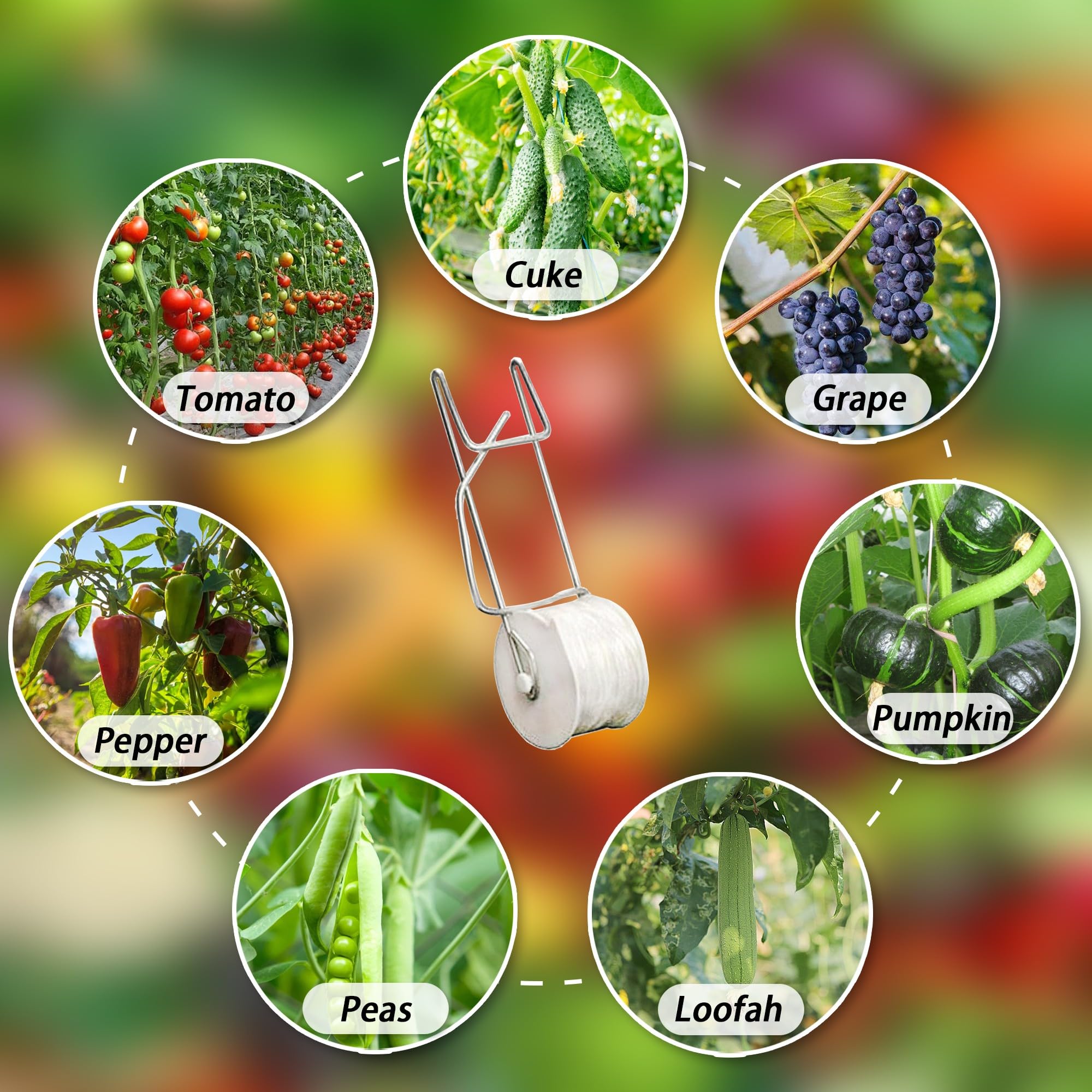 IFMTP Lot De 10 Crochets Pour Treillis De Tomates, Crochets Pour Tomates Avec Ficelle De 15 M Pour Plantes Grimpantes Et Serres