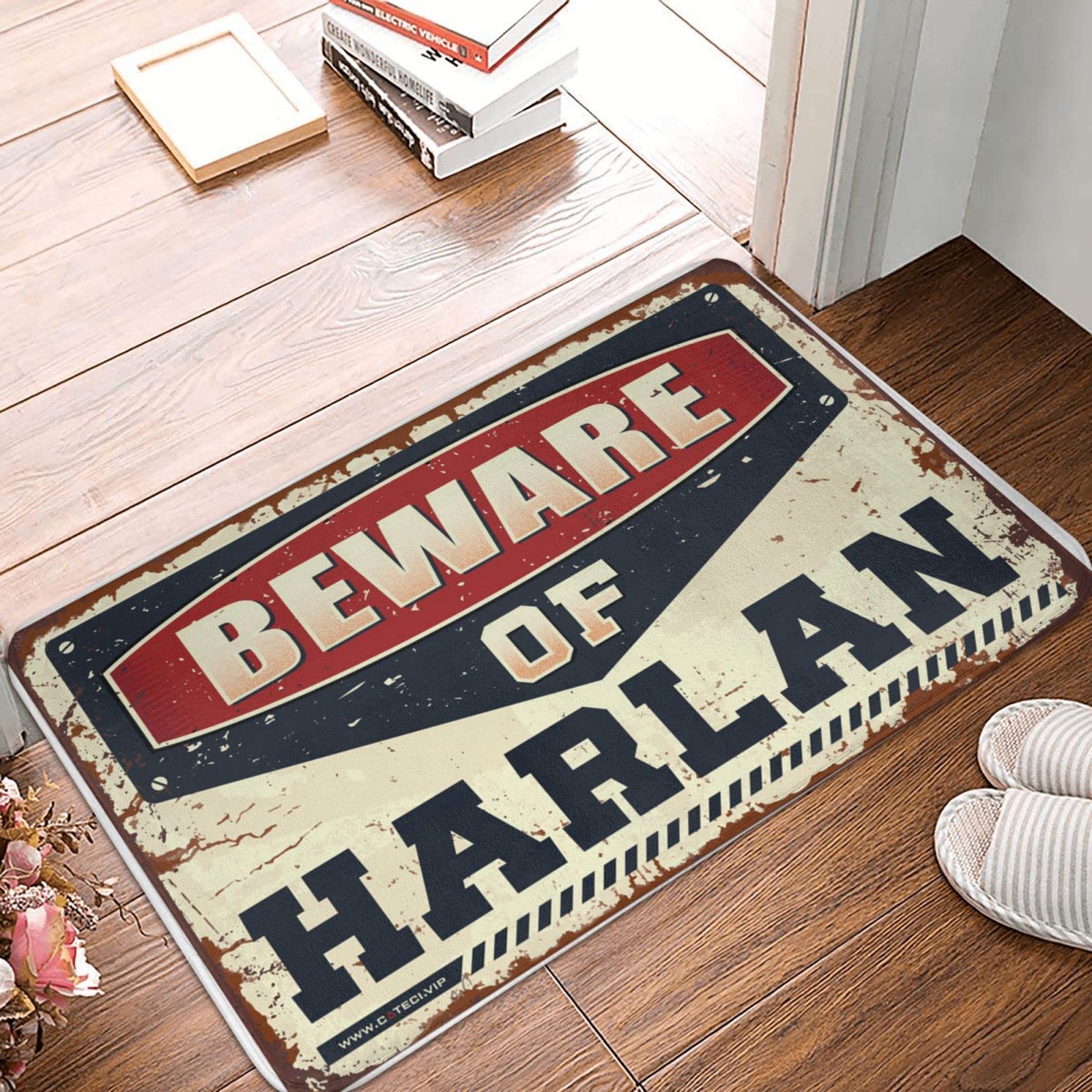 Grand tapis d'extérieur de 65 x 90 cm idéal pour garder une entrée propre de maison