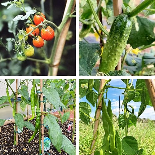 Miniatura 9 de Estacas de bambú de 3 pies para plantas trepadoras de interior y exterior, palos de soporte para tomates, berenjenas, frijoles, paquete de 25