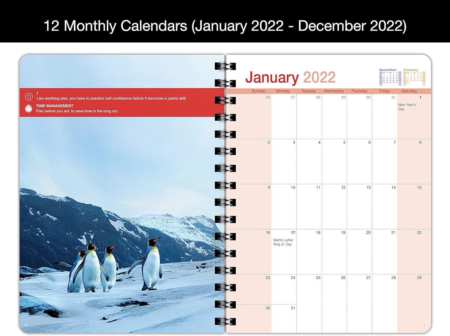 I, Us, All Annual Dated 2022 DayPlanner Medium (6.625 x 9 inches) Weekly & Monthly Organizer, Appointment Schedule, Goals and Notes : Office Products