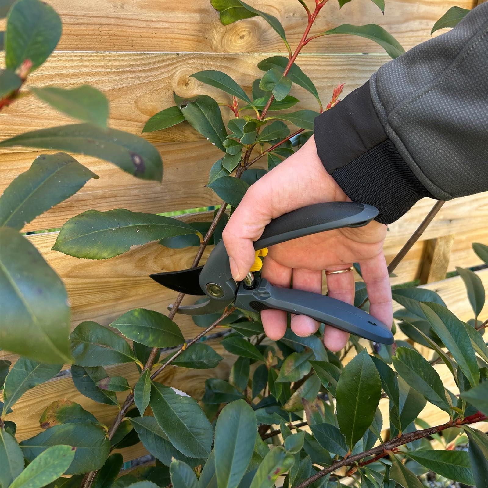 Gartenschere Set · Astschere, Heckenschere & Rosenschere · Gartenscheren für dicke Äste, Hecken, Sträucher, Reben & Rosen · Profi Garten Scheren klein & groß