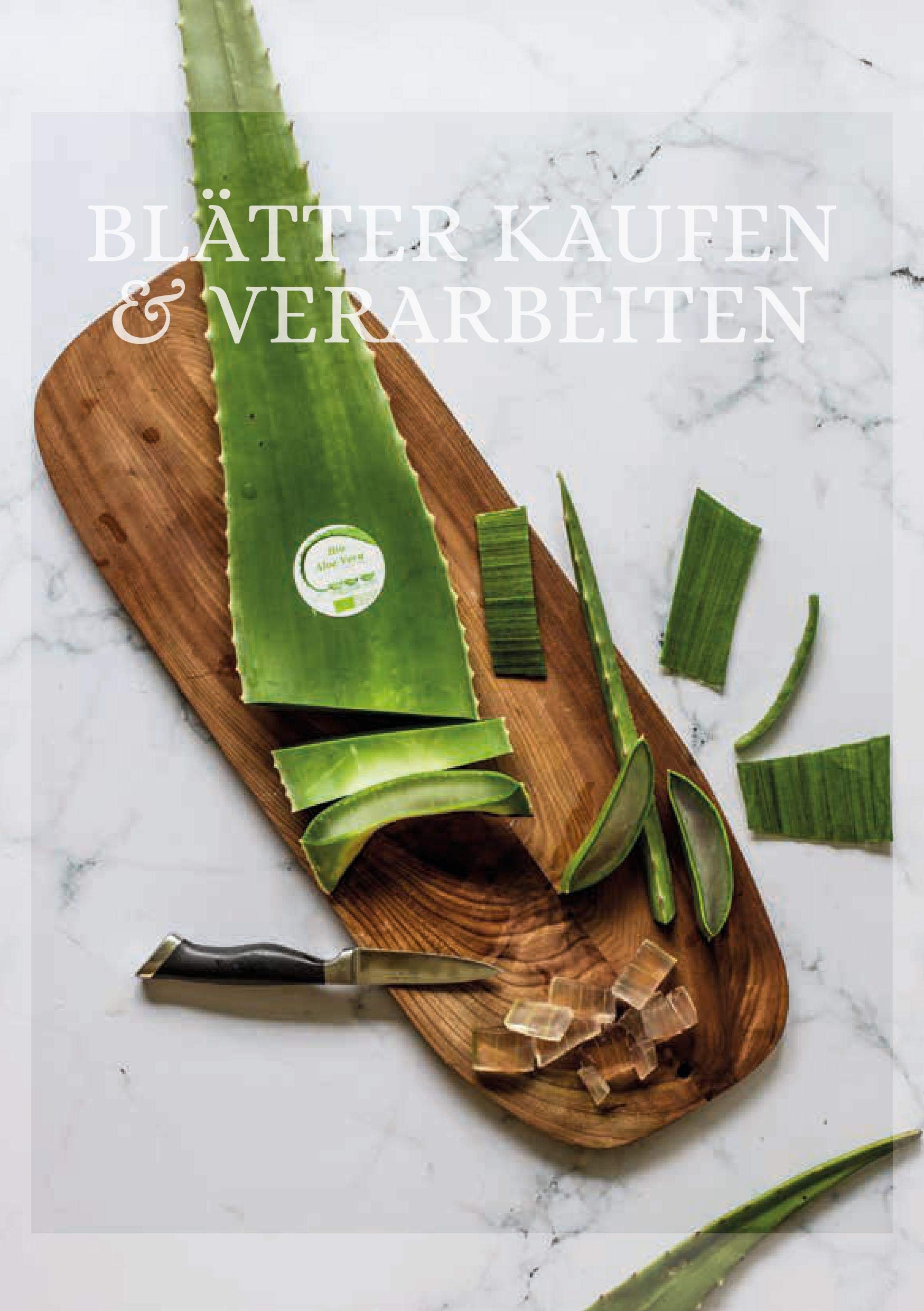 1 x Bestes Bio Aloe Vera Barbadensis Blatt, Health for All : Amazon.de:  Drogerie & Krperpflege