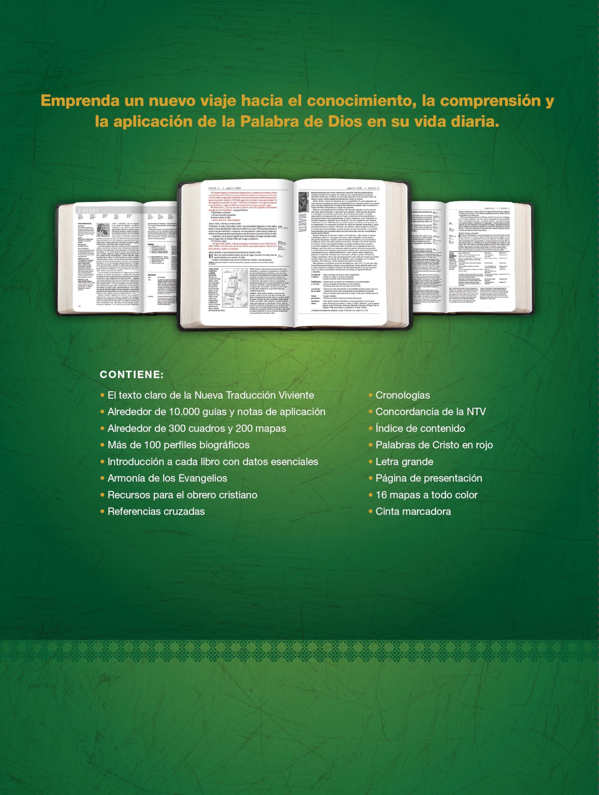 Biblia de Estudio del Diario Vivir Ntv, Letra Grande (Sentipiel, Negro/ï½nice, ï½ndice, Letra Roja)