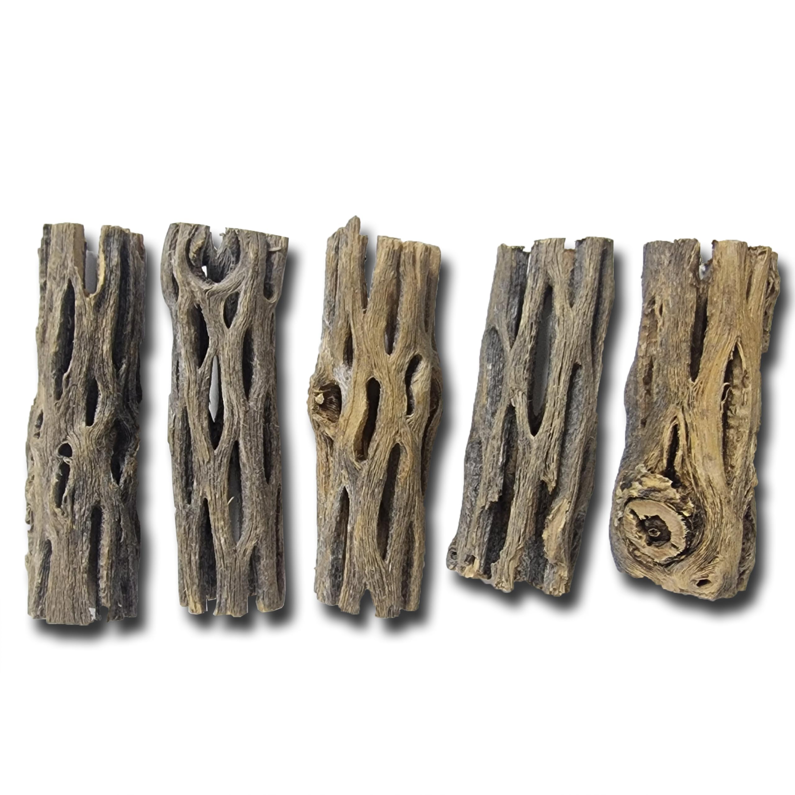 Natural Cholla/Choya Wood 5 Pieces (2.5 inches) for Shrimp Habitat and Food Treat Hermit Crabs Plecos Aquarium Decoration Lowers pH Hideouts and Chew Toys Reptiles Thorn Free Dried Organic Fish