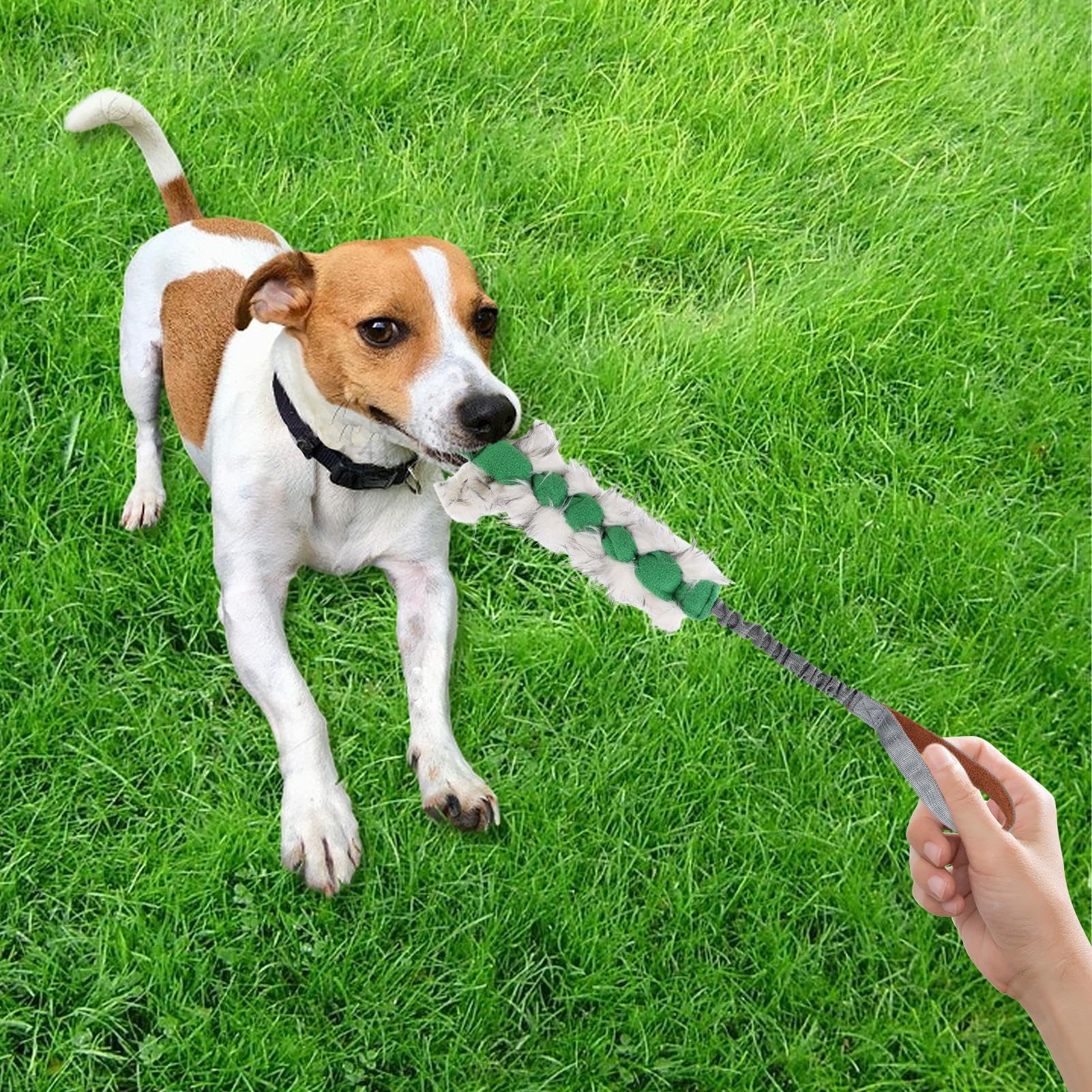 3 Giocattoli Per Cani A Forma Di Carota In Corda Intrecciata - Per Cuccioli E Cani Piccoli, Per Pulizia Denti, Gioco Interattivo, Dimensioni 23x3 Cm