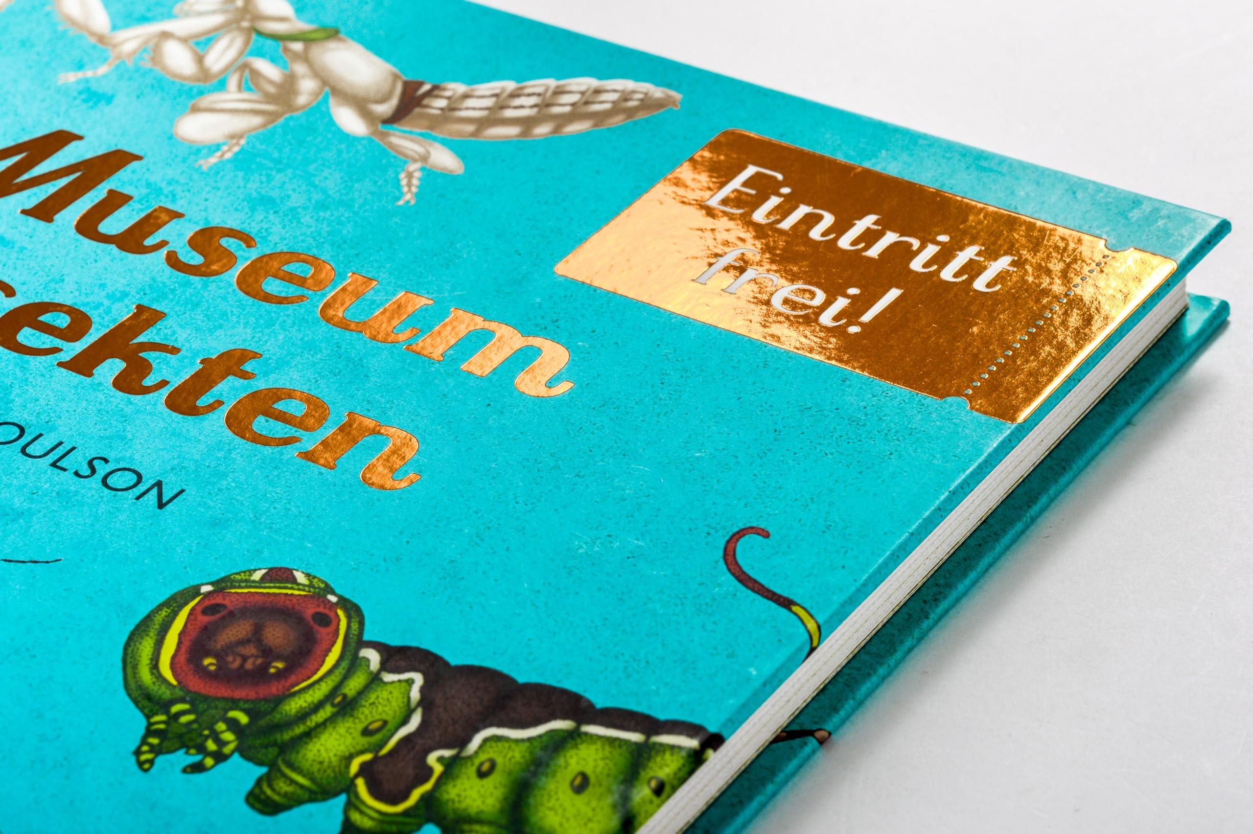 Das Museum der Insekten: Eintritt frei! - Sachbilderbuch im Großformat für Kinder ab 8 Jahren mit faszinierenden Illustrationen von Emily Carter: 16