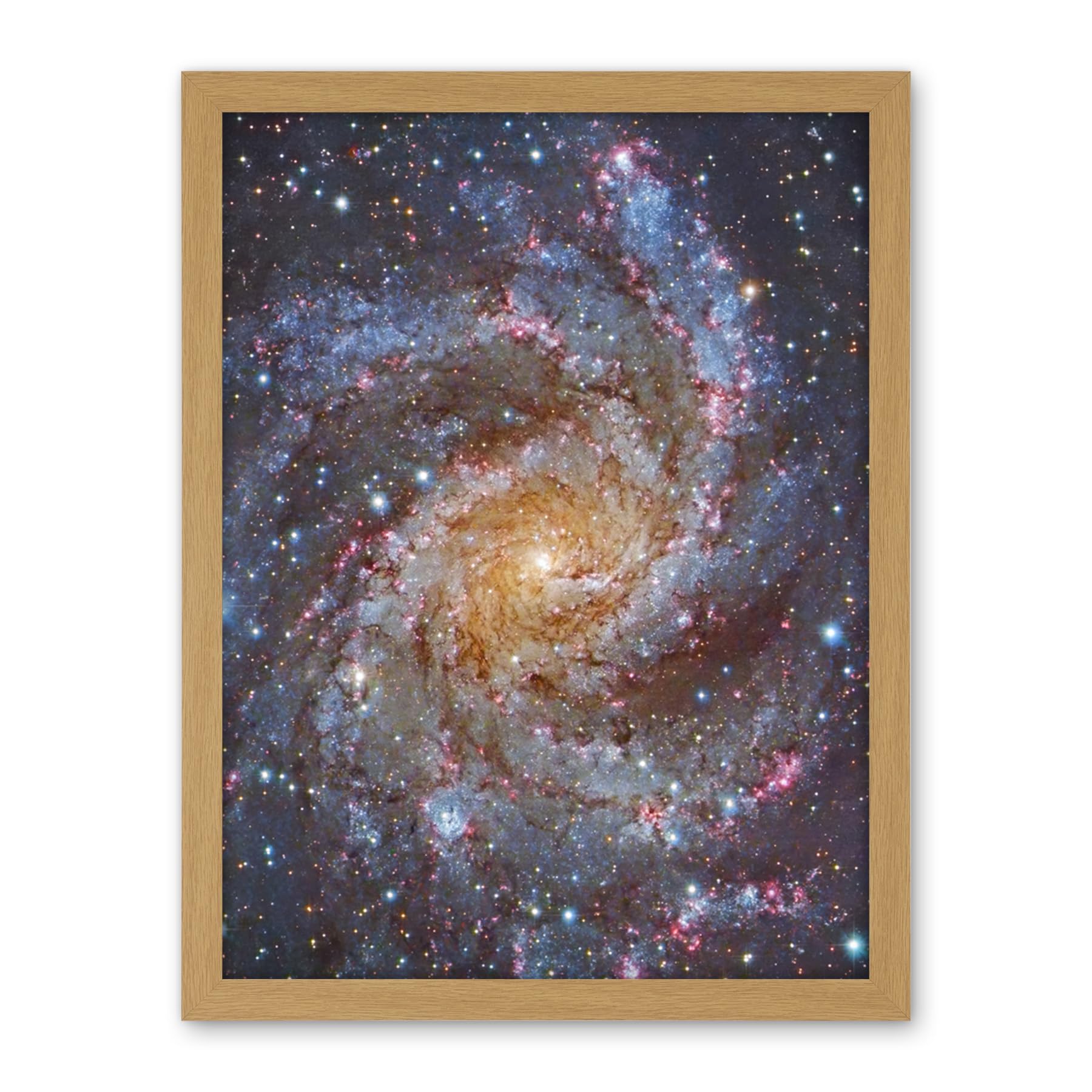 Artery8 Hubble Space Telescope Image NGC 6946 Supernova Fireworks Galaxy Subaru And Red Eclipse Star Cluster Hodge's Complex Artwork Framed Wall Art Print 18X24 Inch