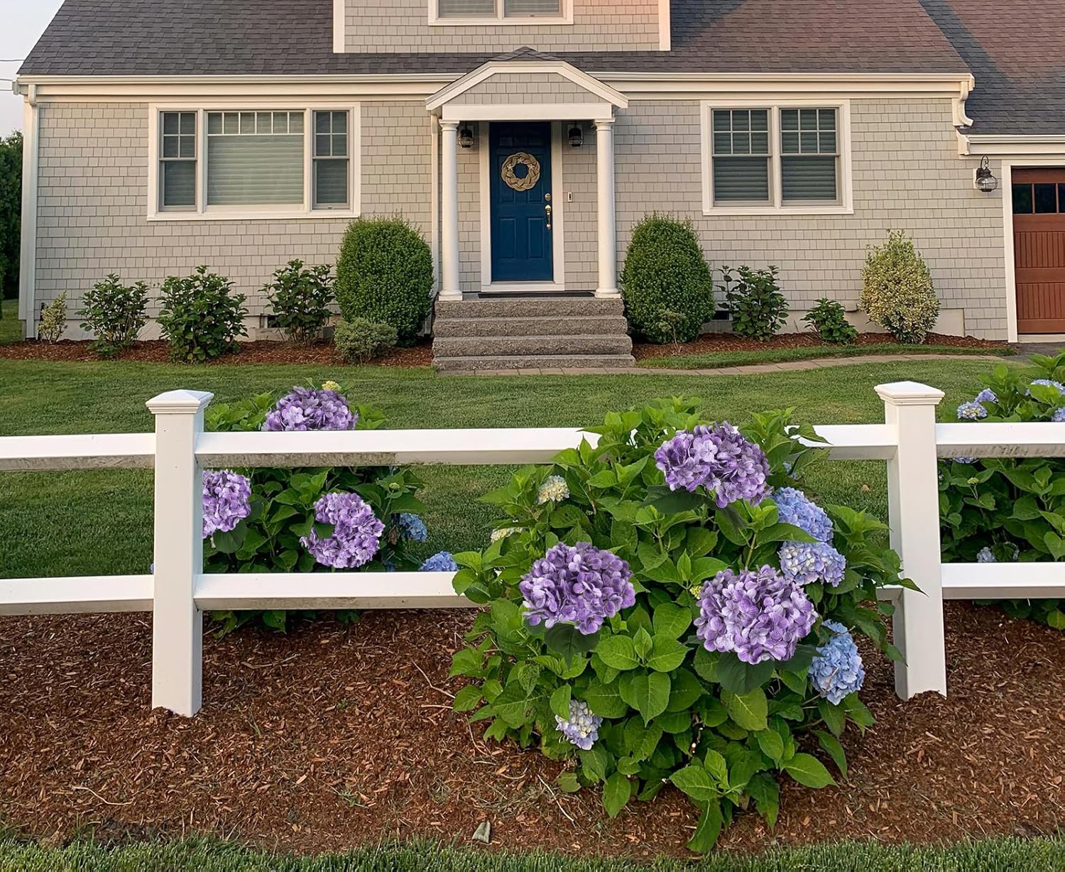 4PCS Real Touch Purple Hydrangea Artificial Flowers 21'' Large Latex Fake Hydrangea Flowers Faux Hydrangea with Stem for Wedding Home Table Centerpieces Indoor Baby Shower Decorations (Purple) - Image 4
