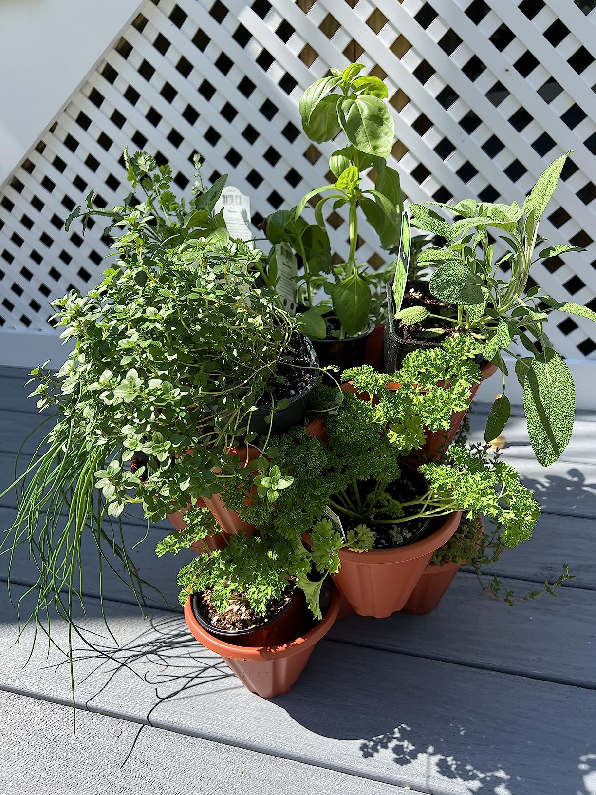 Pure Garden on windowsill
