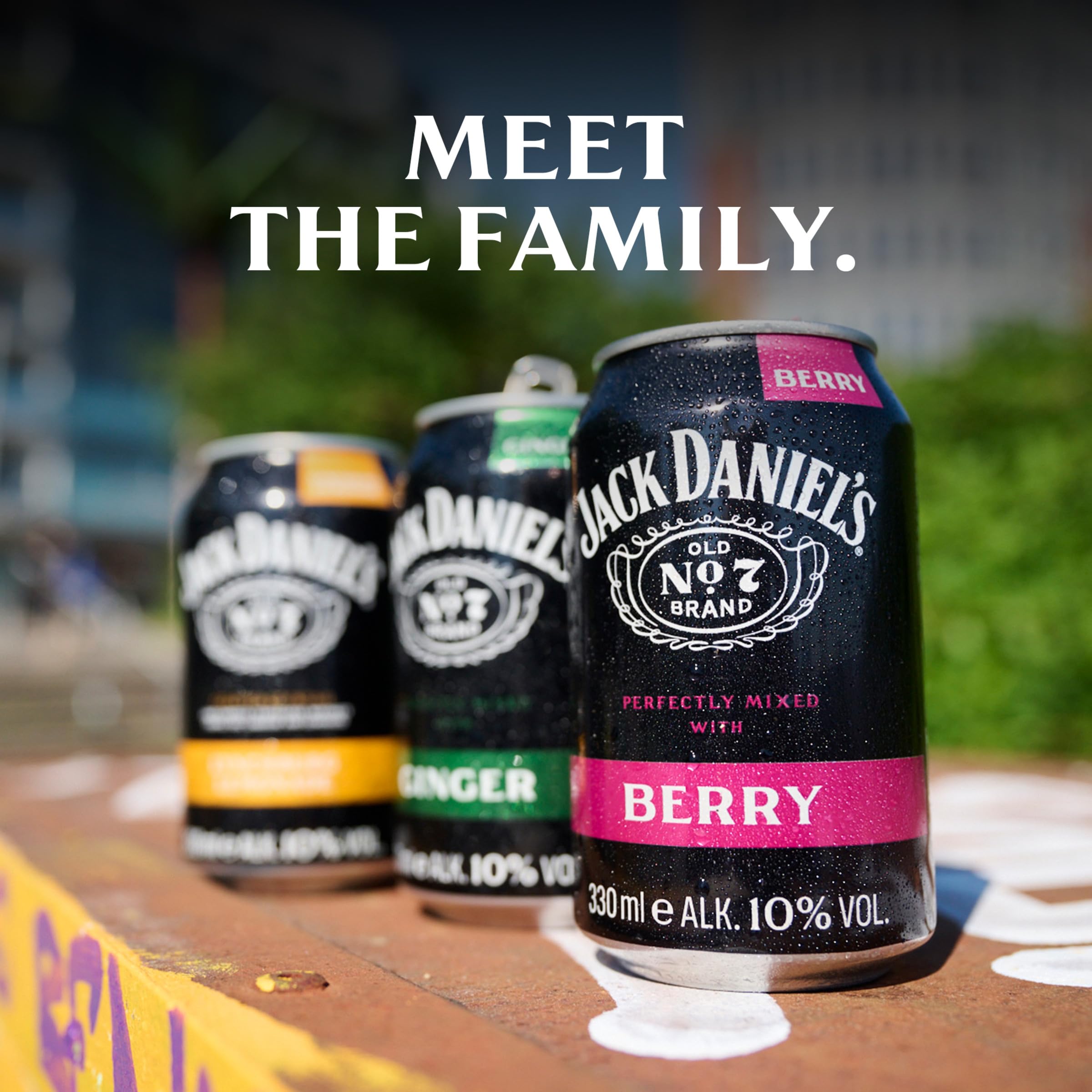 Jack Daniel's Jack & Berry - Tennessee Whiskey - Whiskey Noten treffen auf bitter-süße Beerenlimonade - 12x 0.33l / 10% Vol.