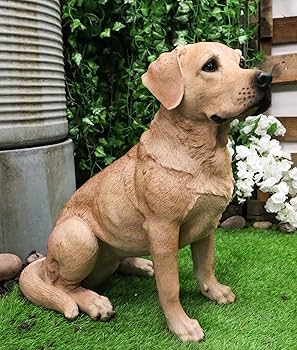 ラブラドールレトリバー 関連生写真 81RSkKvLGWL._UF350,350_QL80_.jpg