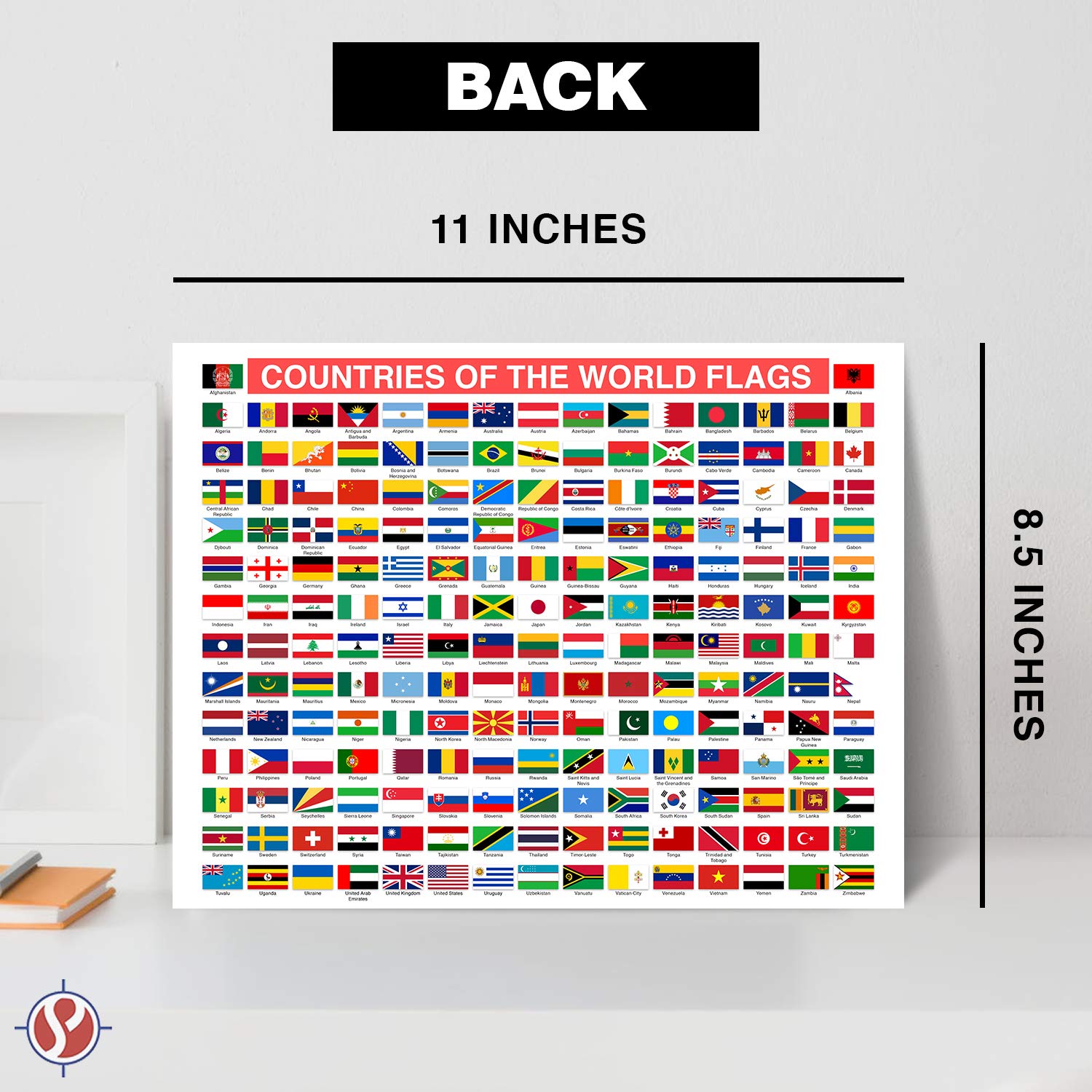 All Countries and Flags of The World Educational Map | Great