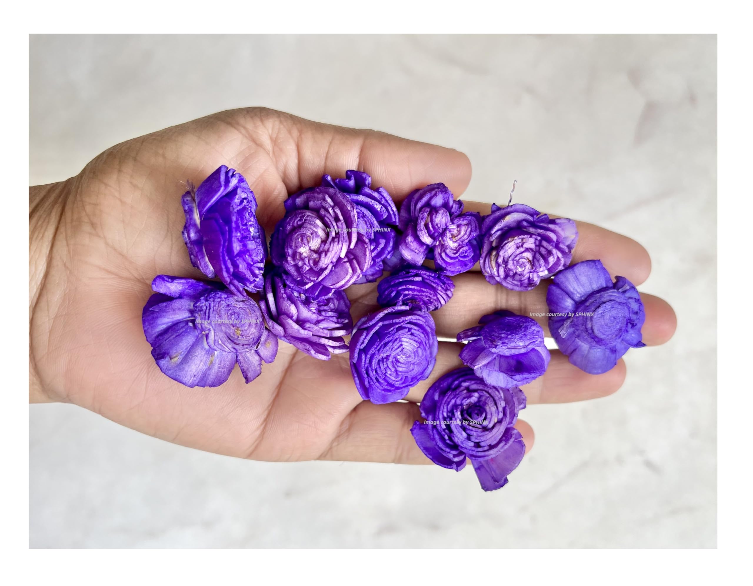 SPHINX Sola Wood Paper Bailey Flowers, D-I-Y Art and Crafts, Garland Making Festive Pooja Wedding Housewarming Christmas Decorations (Diameter Approx 2 cms - 50 Pieces, Purple)