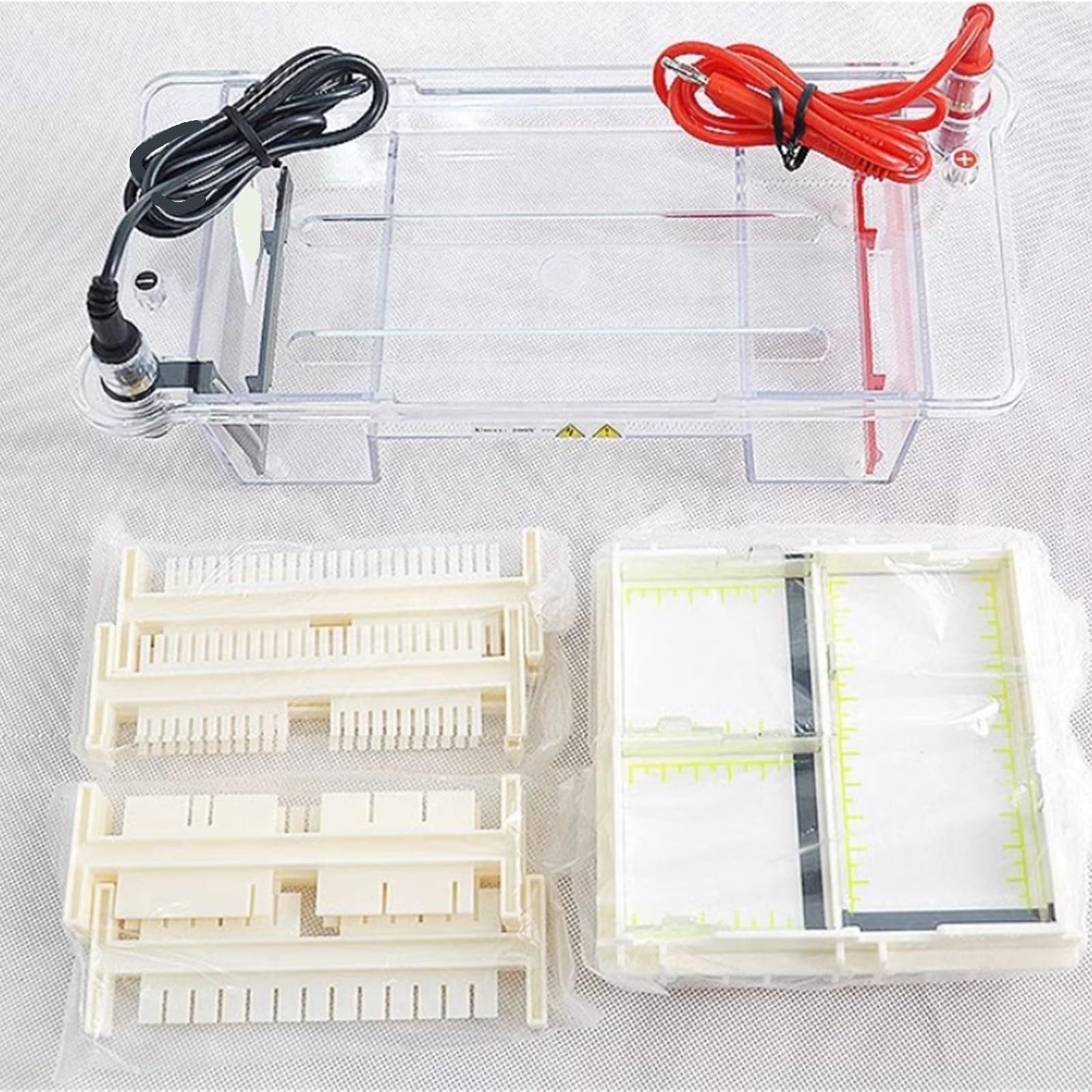 Electroforesis Equipo De Electroforesis DYCZ-24DN Mini Bandas Proteínas Tanque Pequeño Vertical Doble Son Claras para la ciencia