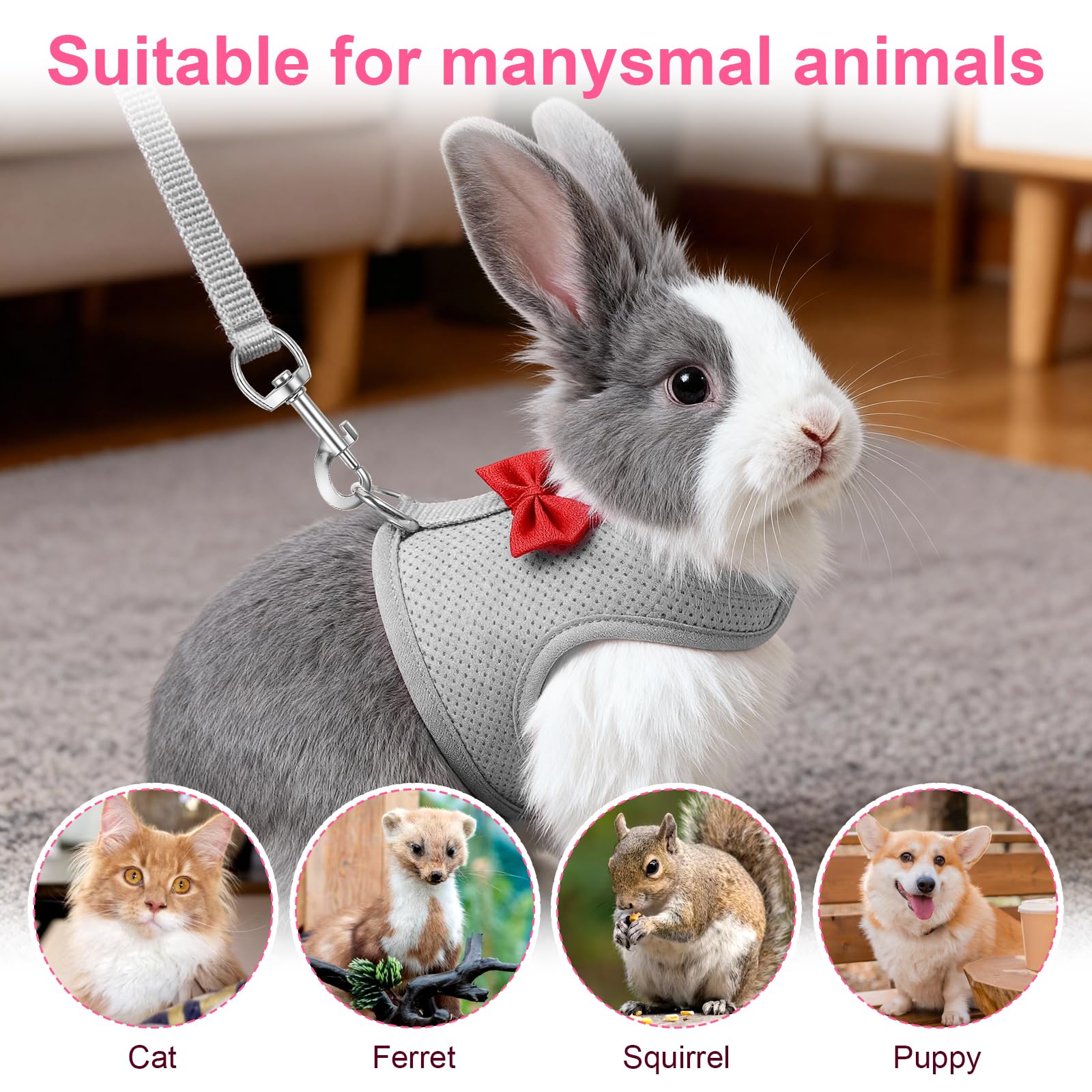 Harnais souple réglable avec laisse élastique pour lapin furet chaton chiot petits animaux gris