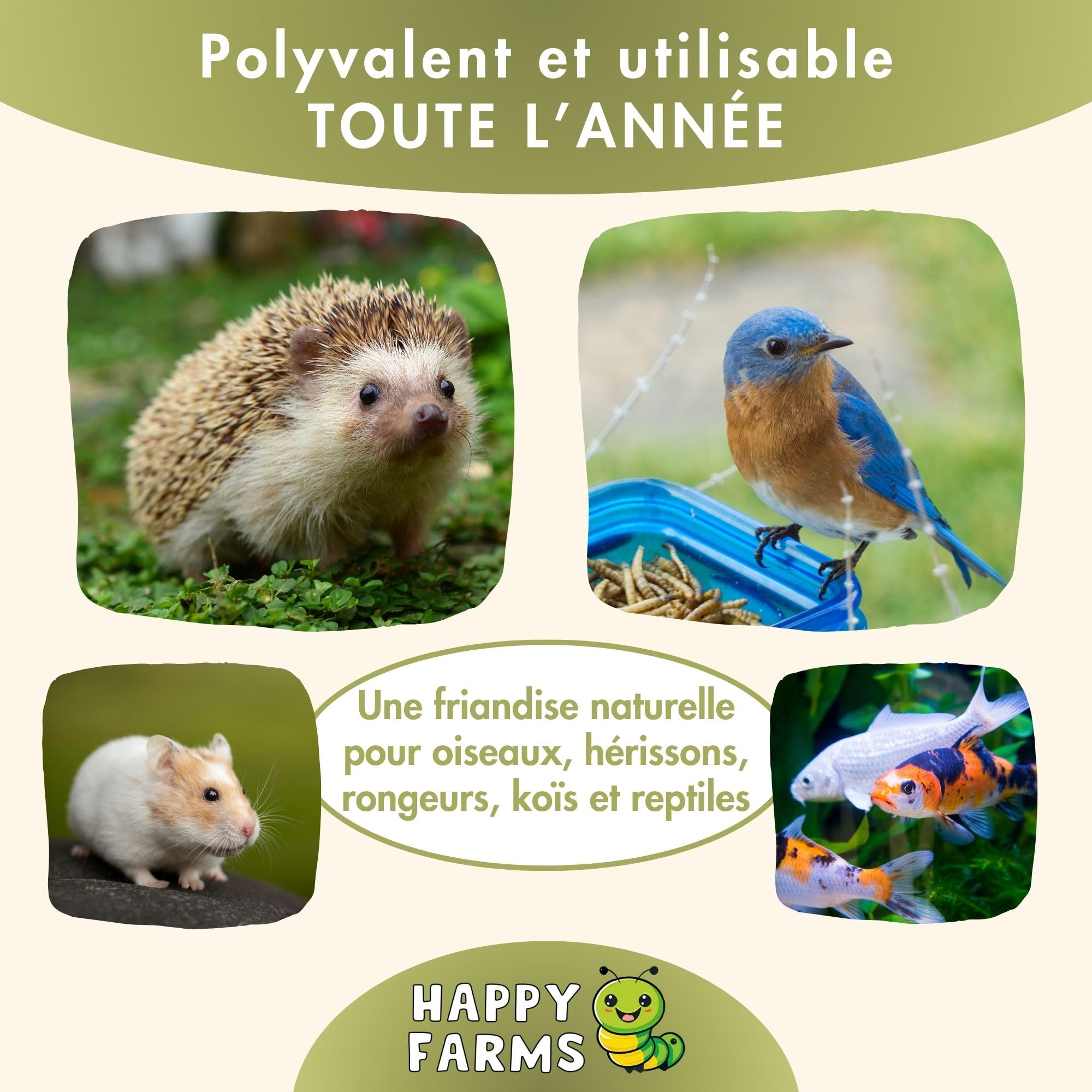 Larves de Mouches Soldats séchées 10 kg – Nourriture Naturelle Riche en protéines et Calcium pour Oiseaux Sauvages et hérissons – Alternative aux vers de Farine