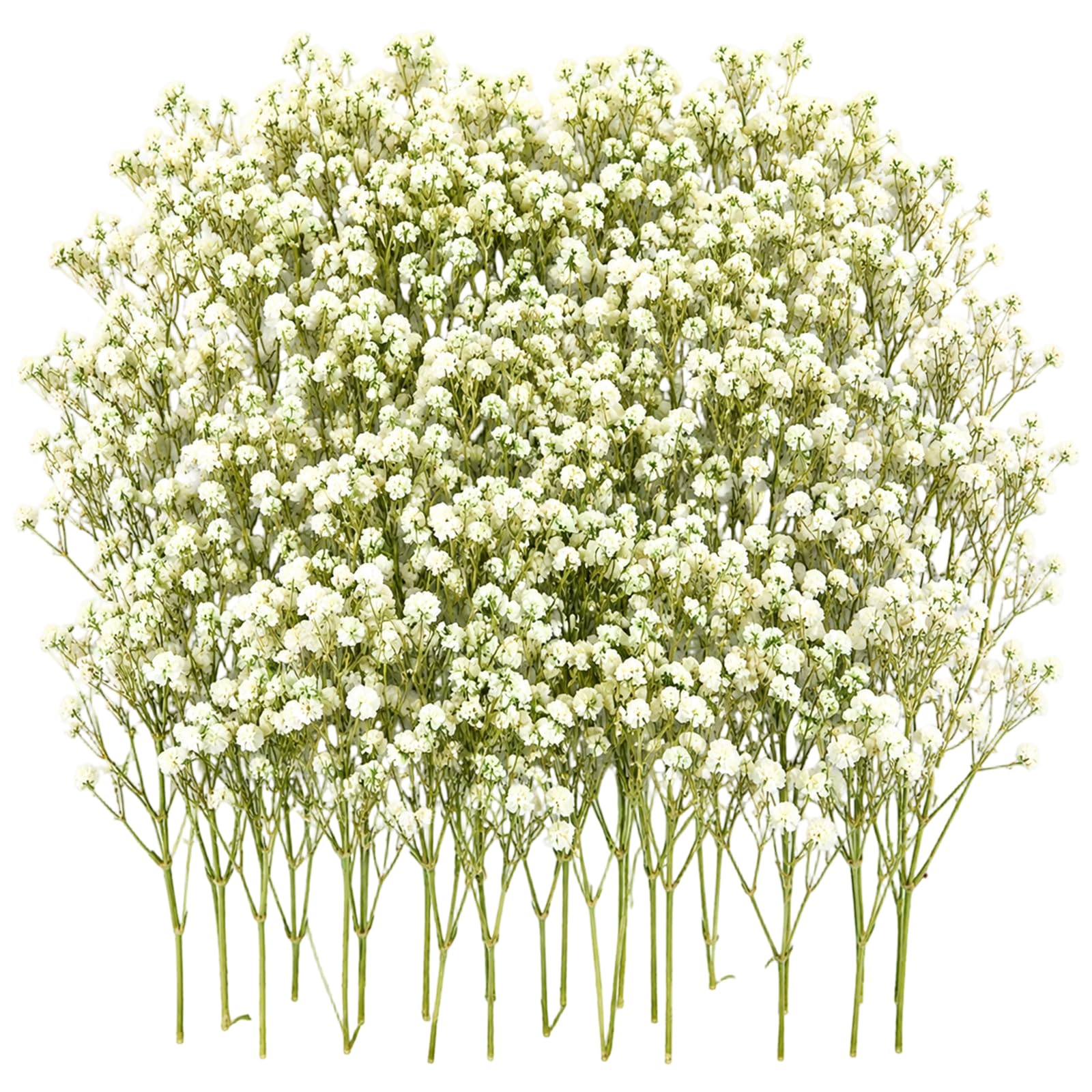 100PCS Dried Gypsophila Flowers, Dried Flowers for Crafts, White Gypsophila with Green Stems, Versatile Decoration for Home and Events, Bulk Floral Supplies for Creative Projects