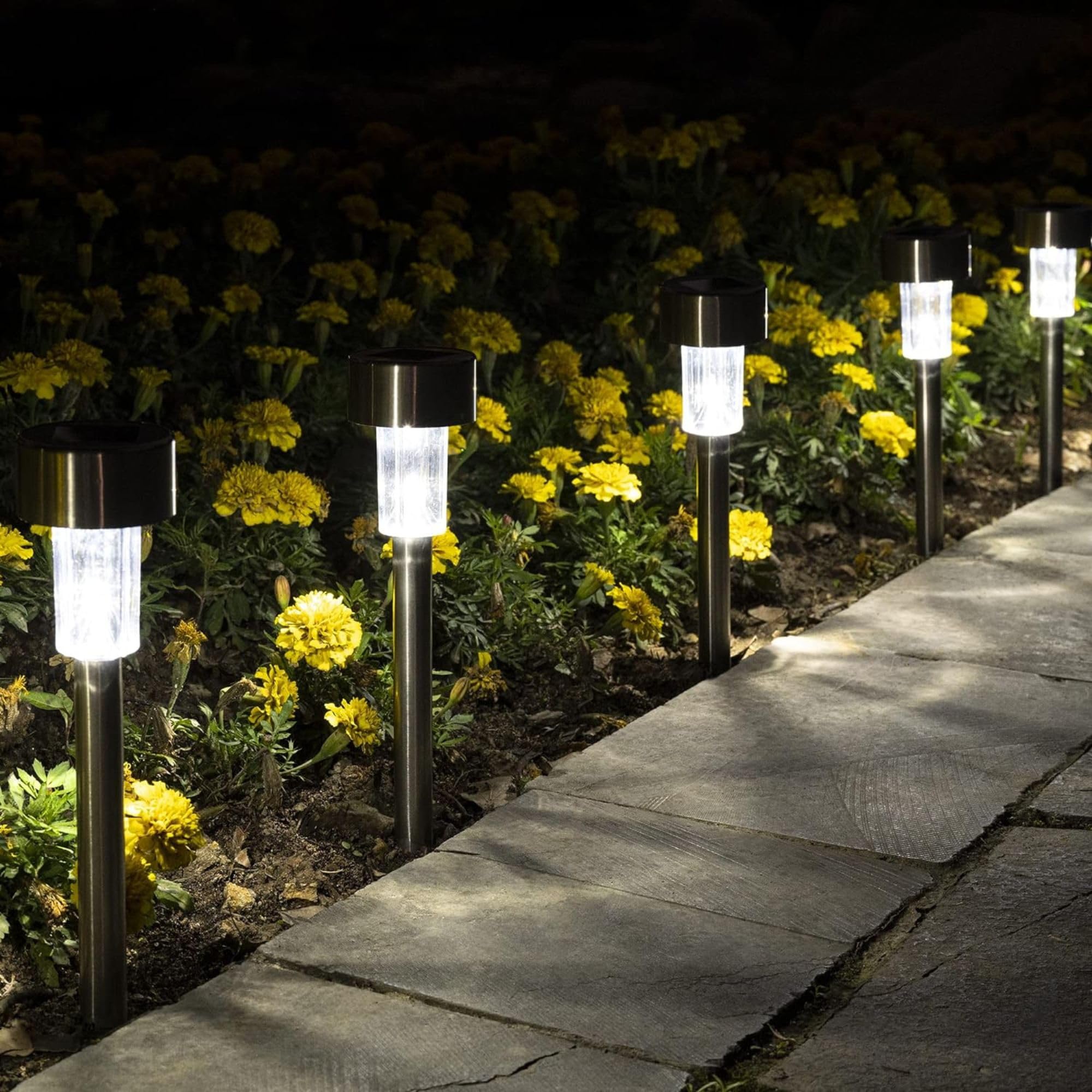 DMak Solar Moonlit Light Outdoor Double IP65 Waterproof Solar Path Light for Garden, Patio, Yard Auto On/Off Stainless Steel (White, 12) (B0CHB7CZQT) Amazon Price History, Amazon Price Tracker
