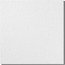 Knauf Thermatex Star - Placas de techo (625 x 625 x 15 mm, borde), color blanco
