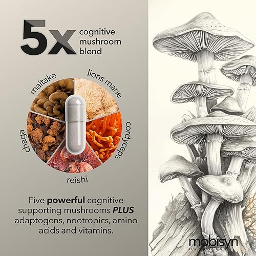 Miniatura 4 de Suplemento orgánico de hongos con mezcla cognitiva de hongos nootrópicos - Melena de león, Cordyceps, Reishi, Chaga, Maitake + Amatea Max,