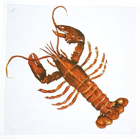 Amazon Com Golden Rabbit Lobster Napkin Set Of 4 Kitchen Dining