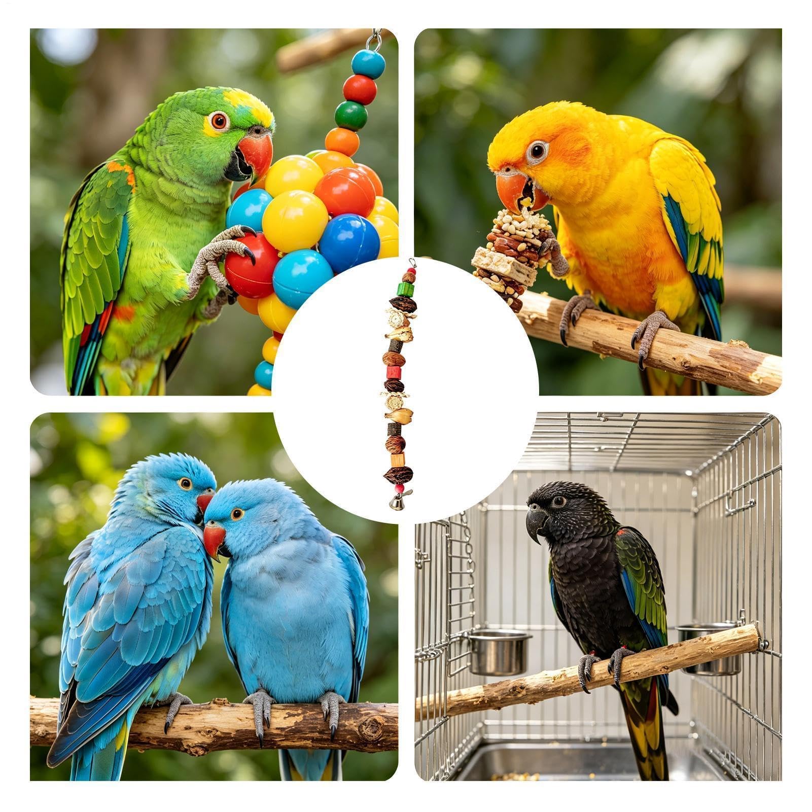 Perchoir à mâcher pour oiseaux 60 cm | Bois naturel, maïs, bloc de noix et corde pour perruches, perroquets – escalade, soulagement du stress, aire de jeux en cage