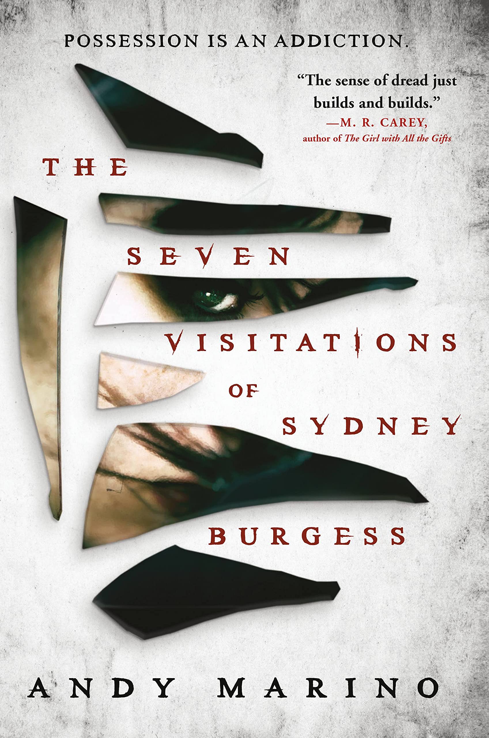 The Seven Visitations of Sydney Burgess by Andy Marino HARDBACK 9780316629485