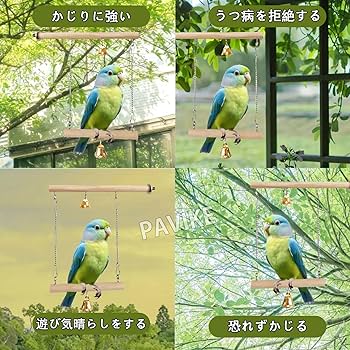 Amazon | PAVIKE 鳥 止まり木スタント 天然木 ブランコ木製 止まり木