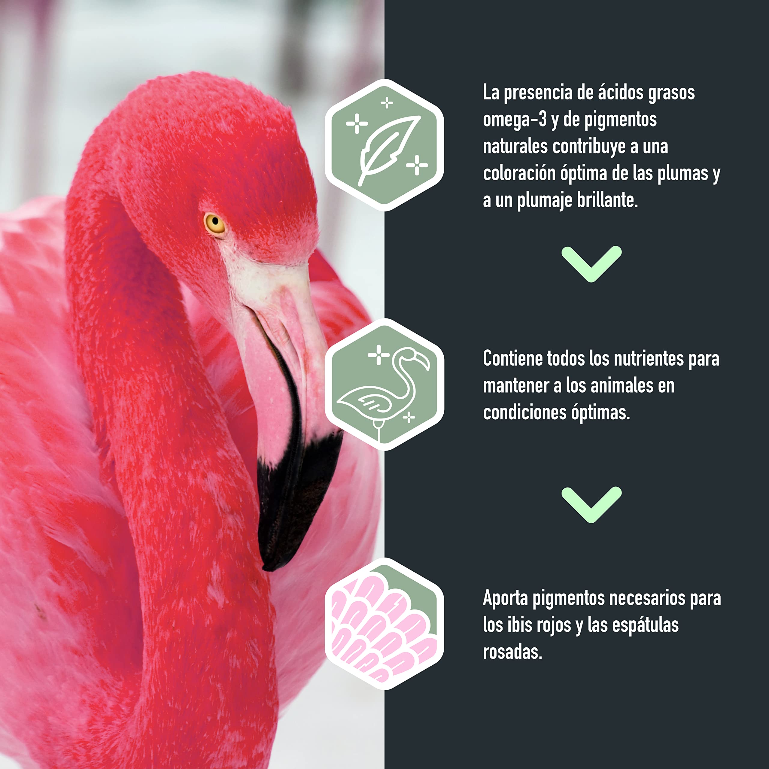 FINCA CASAREJO - Comida para Ibis - Croquetas Flotantes para Ibis y Otras Aves zancudas - Floating Ibis - Saco de 15 kg - Versele laga.