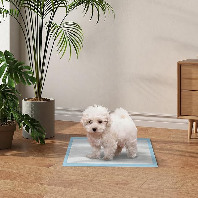 Foto 2 de 8 de PawHut Empapadores para Perros Secado Rápido 100 Unidad 45x30 cm Azul