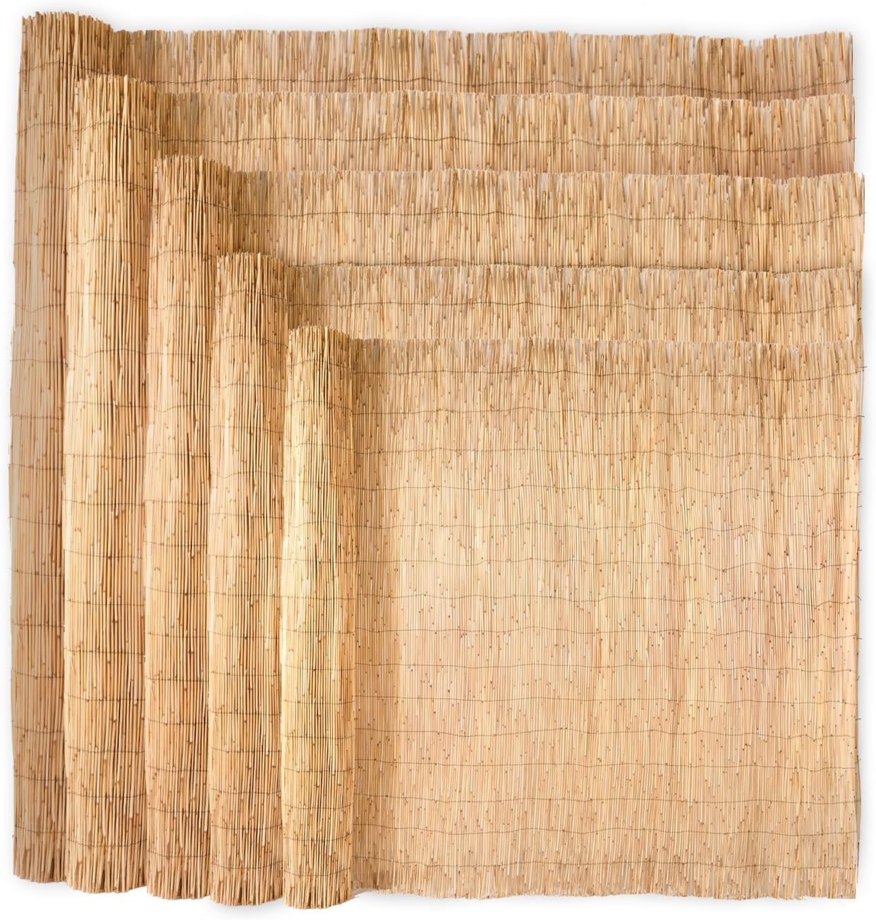 Wadan Natural Reed Screening, Garden Privacy Screening for Outdoor, Reed Screen Peeled Roll Garden Screening for Sun and Wind Protection, Patio and Privacy Screen for Garden Wall Covering (1m x 4m)