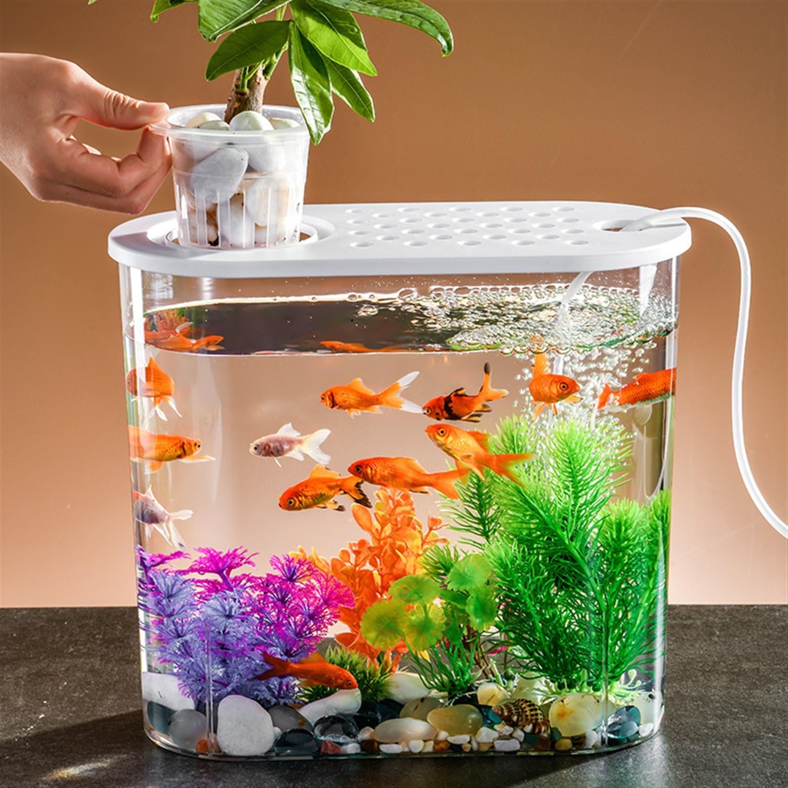 Amazon.co.jp: 金魚鉢 透明アクリル製水槽 蓋と持ち運びに便利な