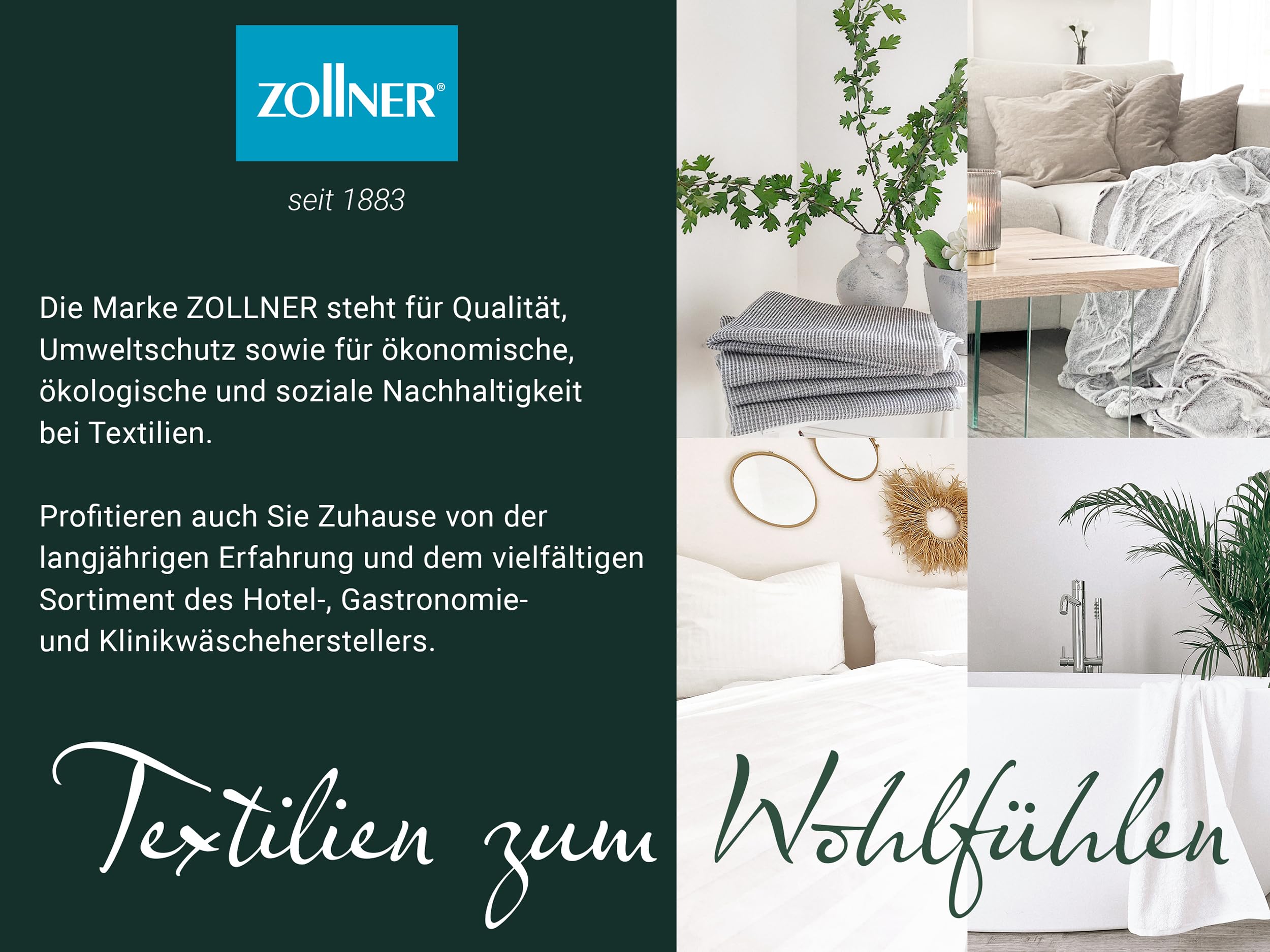 ZOLLNER Deluxe Daunenkissen - Made in Germany – für Allergiker geeignet – Bezug aus hochwertiger Mako Baumwolle - waschbar bis 60°C - 40x40 cm - Hotelqualität