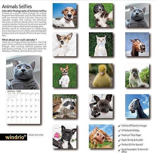 Miniatura 2 de Calendario de pared 2026, Calendario divertido 2026, noviembre de 2025 - diciembre de 2026, calendario de pared con memes divertidos de animales, 12