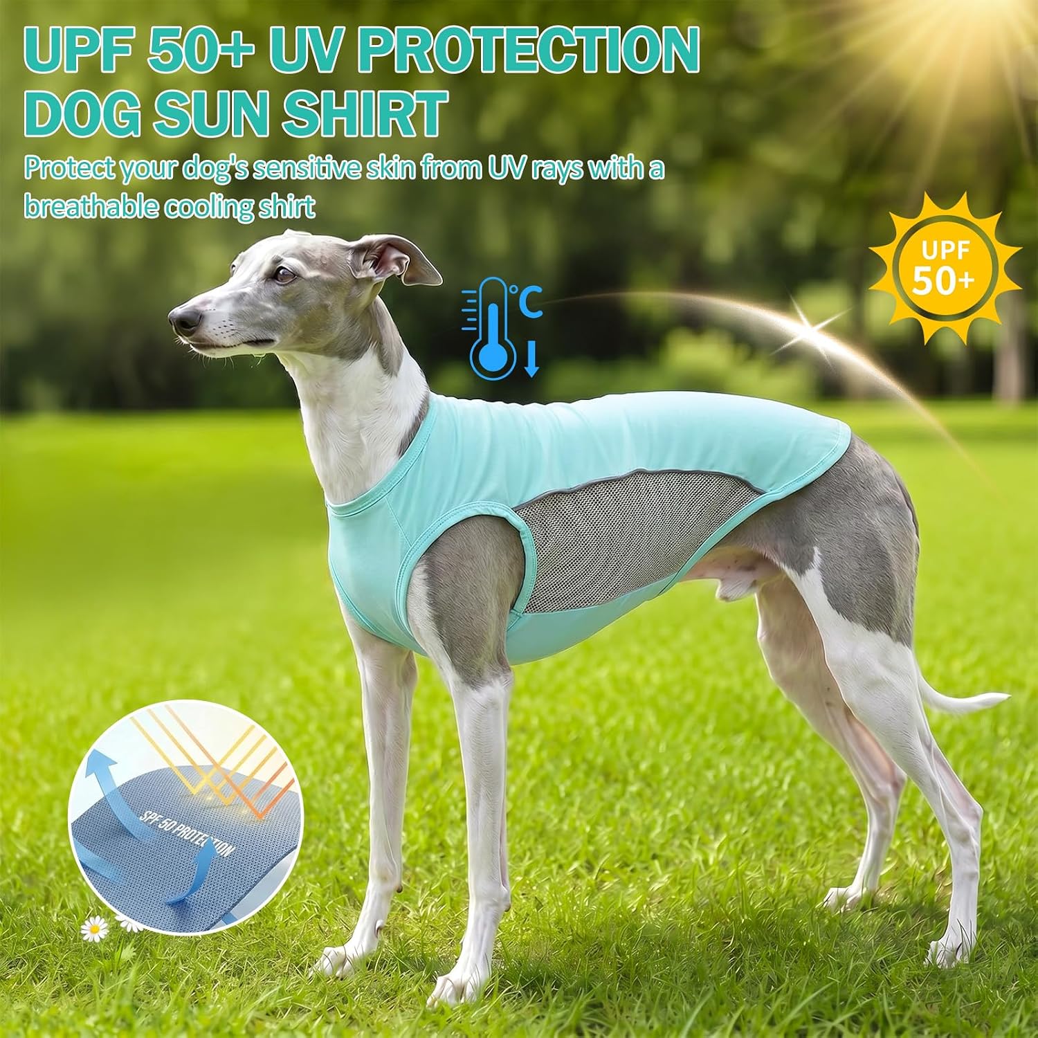 UPF 50+ Sun Protection Dog Shirt for Small Dogs - Breathable Sleeveless Vest with Reflective Strips, Sports Fan Pet T-Shirt, Lightweight UV Protective Apparel P23ST00501S