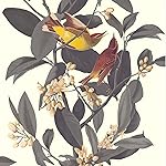 Lut`ece Bird Branch Wallpaper | Dark Grey | Vinyl on Non-Woven | 51175509 | Bedroom, Living Room, Hallway, Living Room, Multicoloured