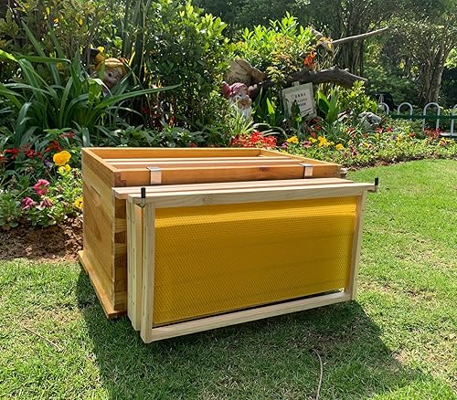 Miniatura 6 de Bee Hive - Soporte para marco de acero inoxidable, con pala y marco de abeja (1 juegos)