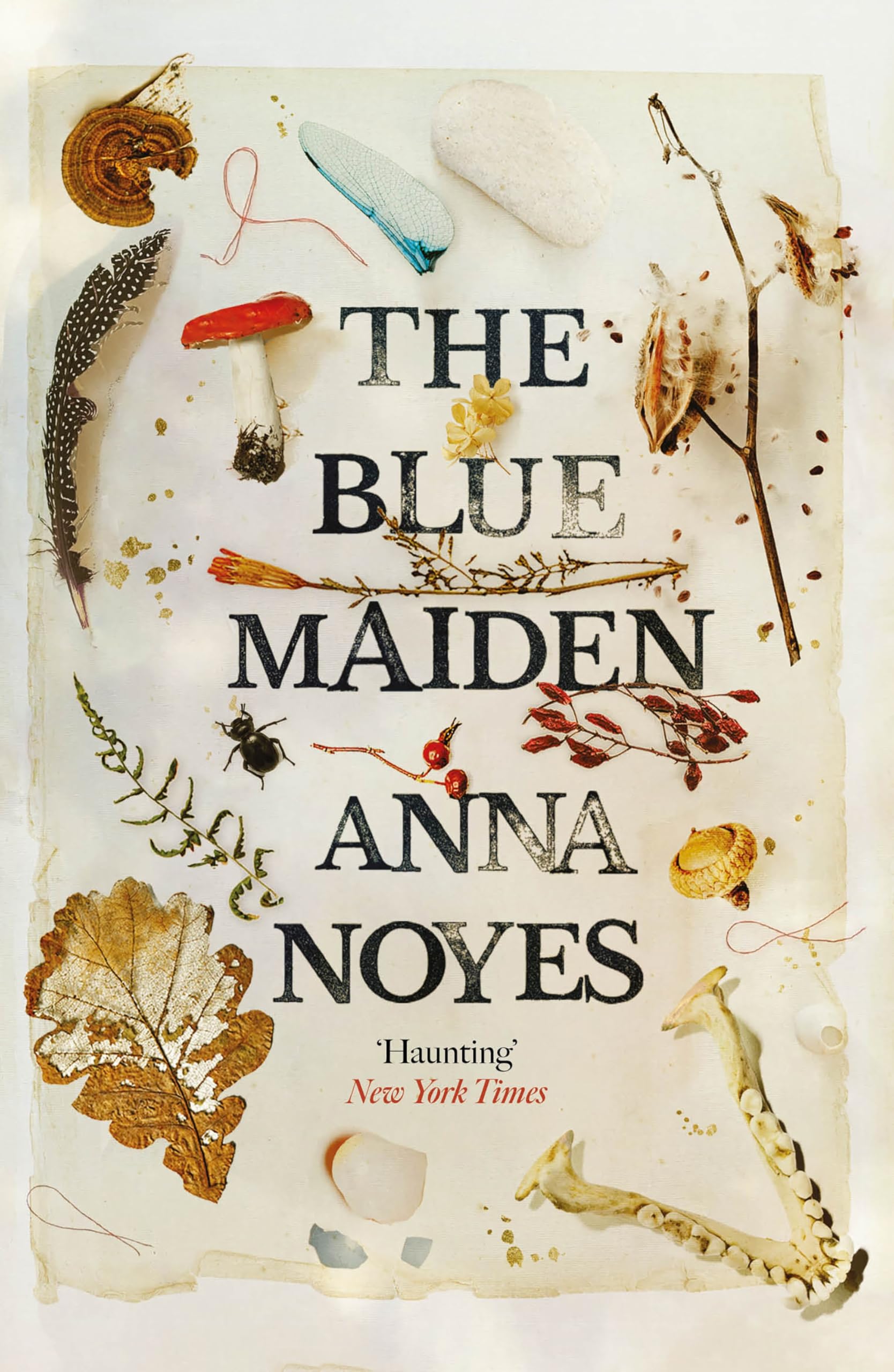 The Blue Maiden by Anna Noyes (Paperback Book)