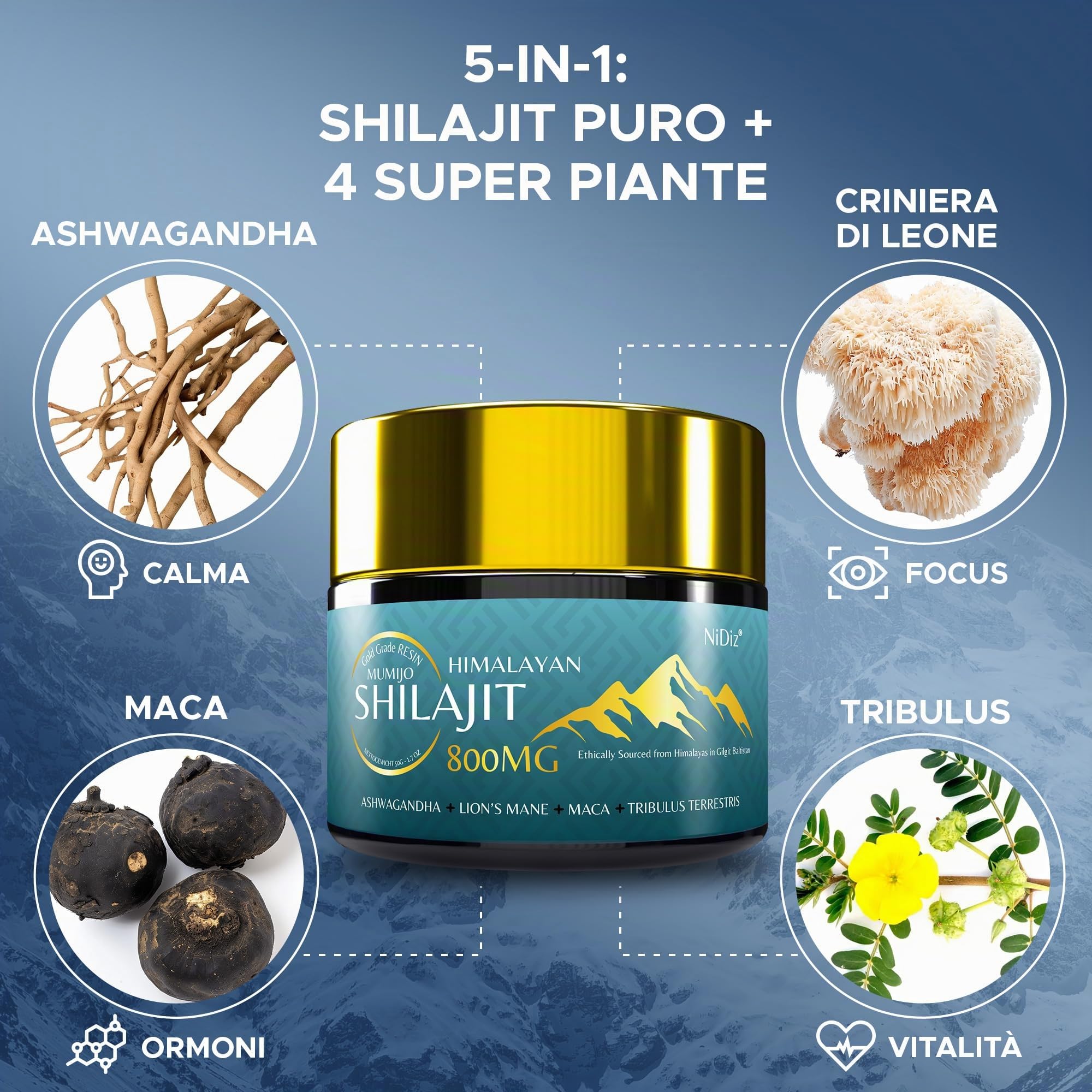 100% Shilajit Himalayano Puro 800MG, Erbe Ayurvediche 5 in 1, Testate in Laboratorio in Europa, 50g