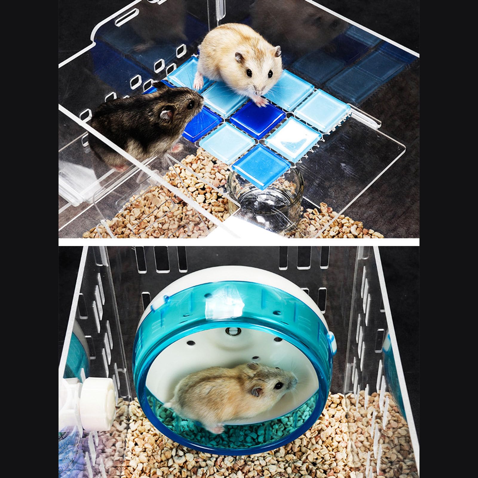 Cage à Hamster en Acrylique, Design Transparent, avec Roue d'exercice silencieuse, Espace de Vie spacieux, Fournitures complètes pour Petits Animaux, Hamsters Nains, Gerbil